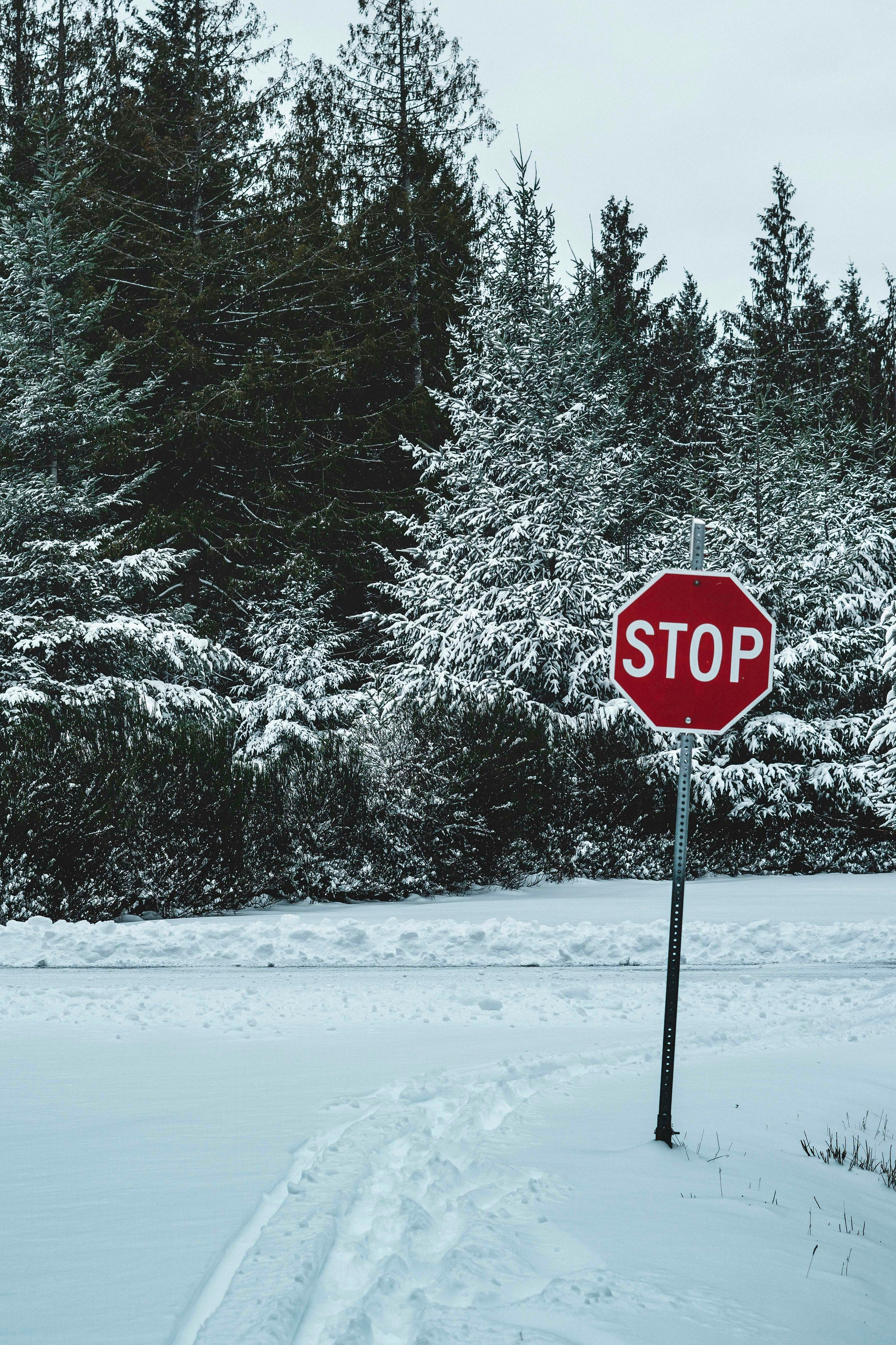 The Two-Second Habit That Stops You From Ever Running a Dangerous Command by Accident