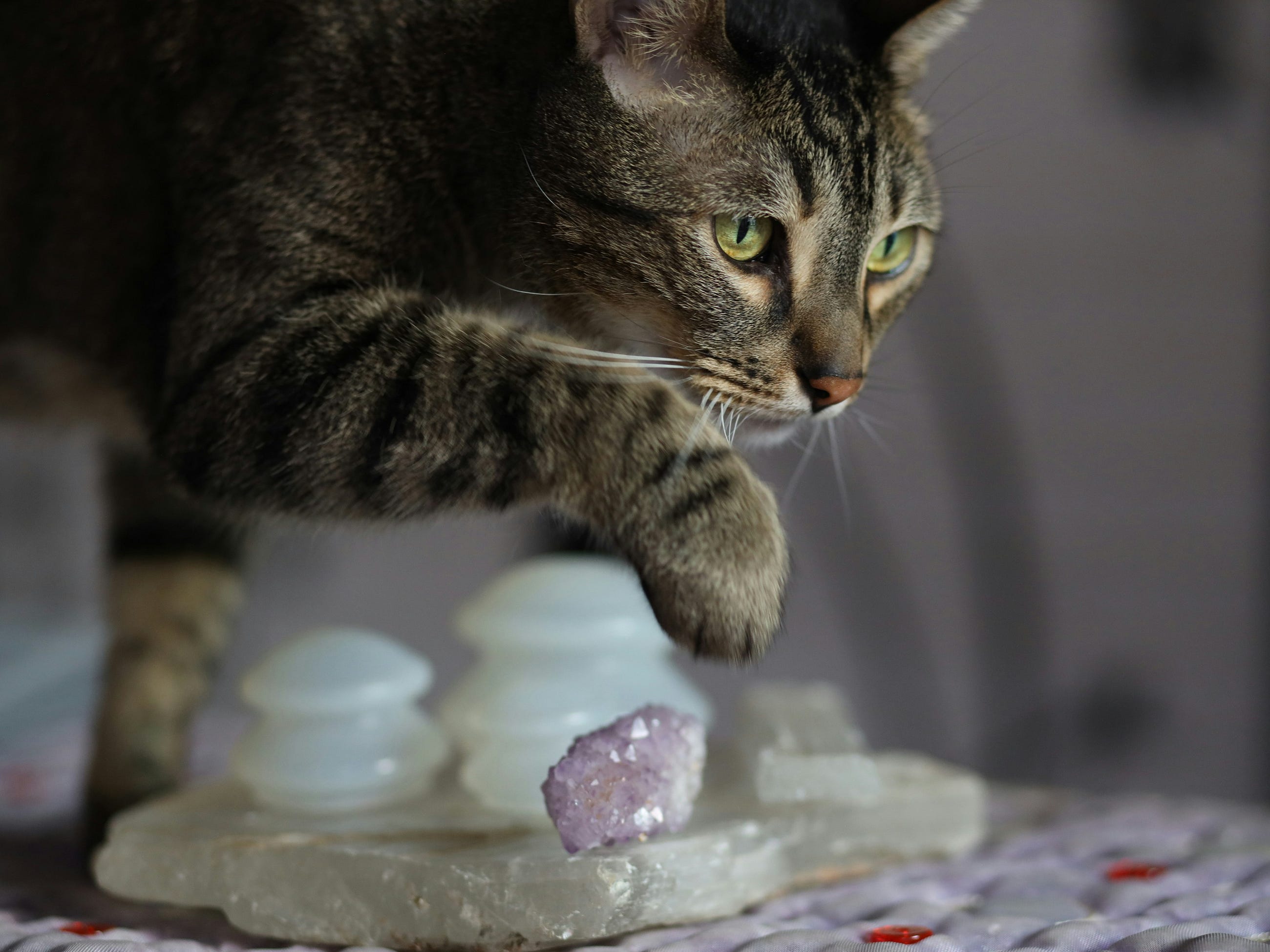 Learning to Build a Generative Diffusion Model for Crystals