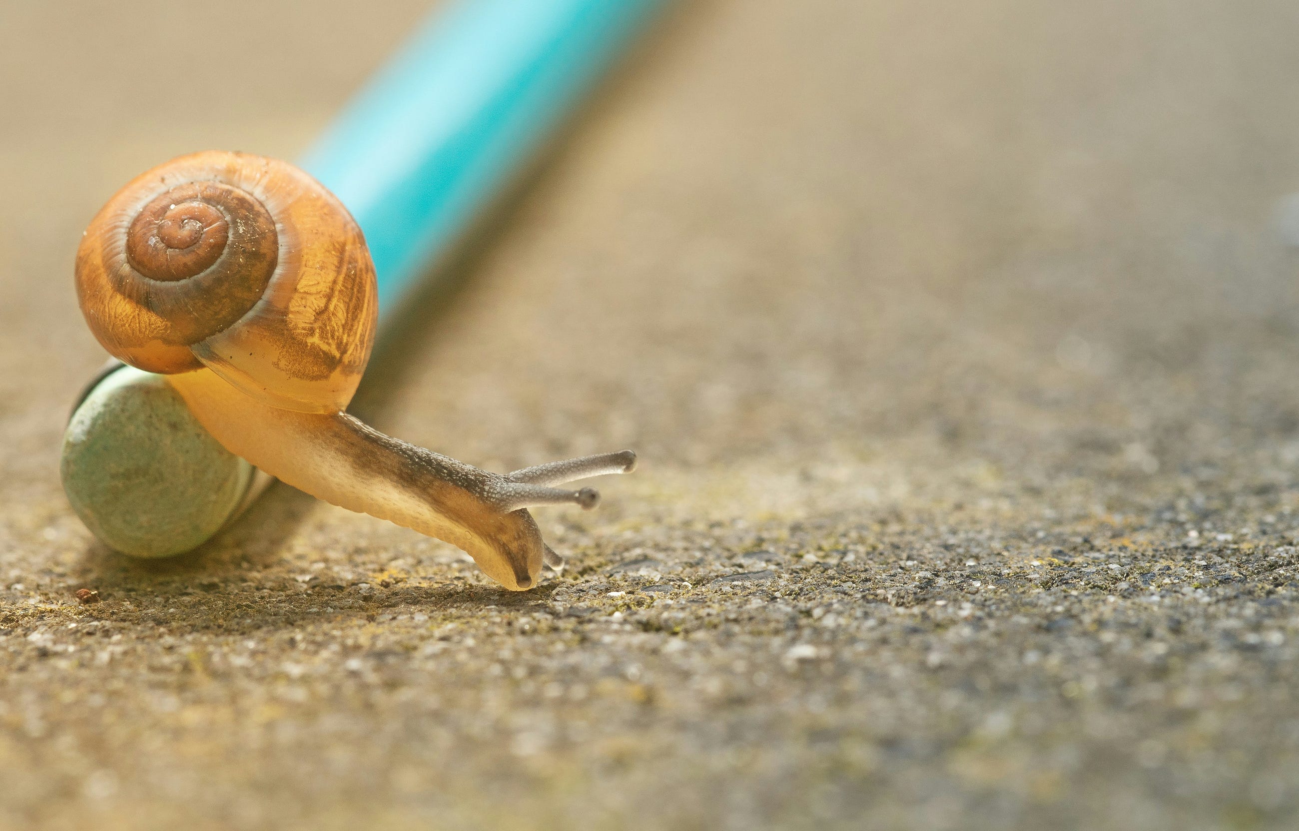 Your Microservices Aren’t Slow — You Just Can’t See Them