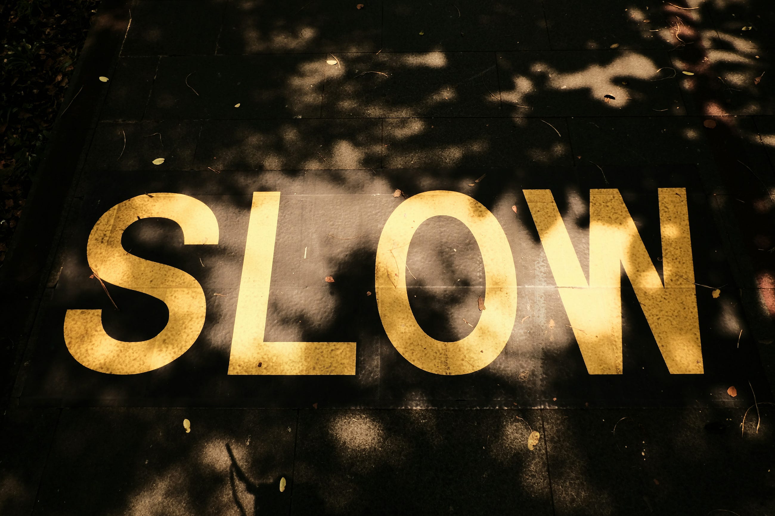 Why Slowing Users Down Increases Conversions