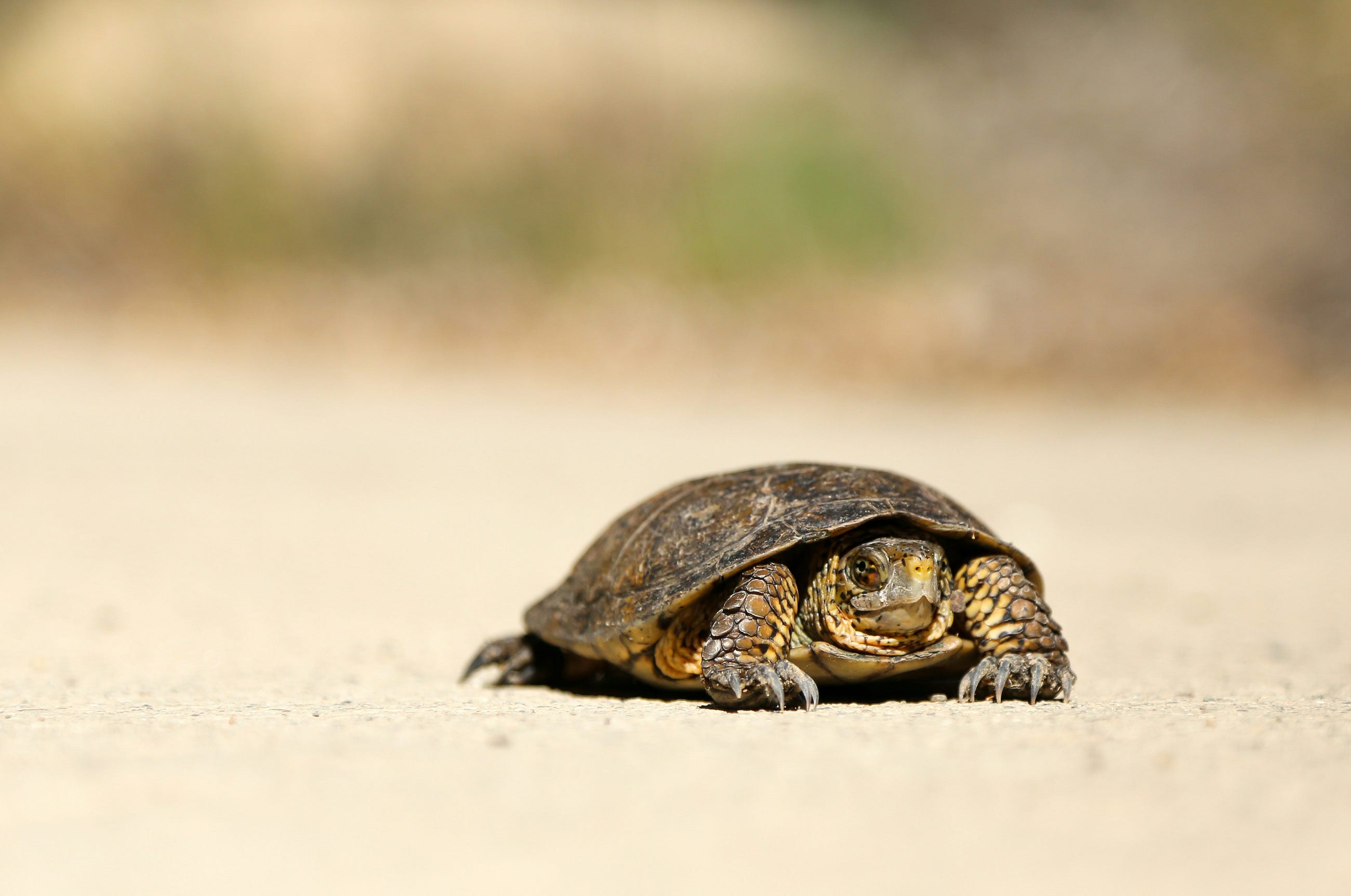 SQL Queries Running Slow? Materialized Views Can Help!