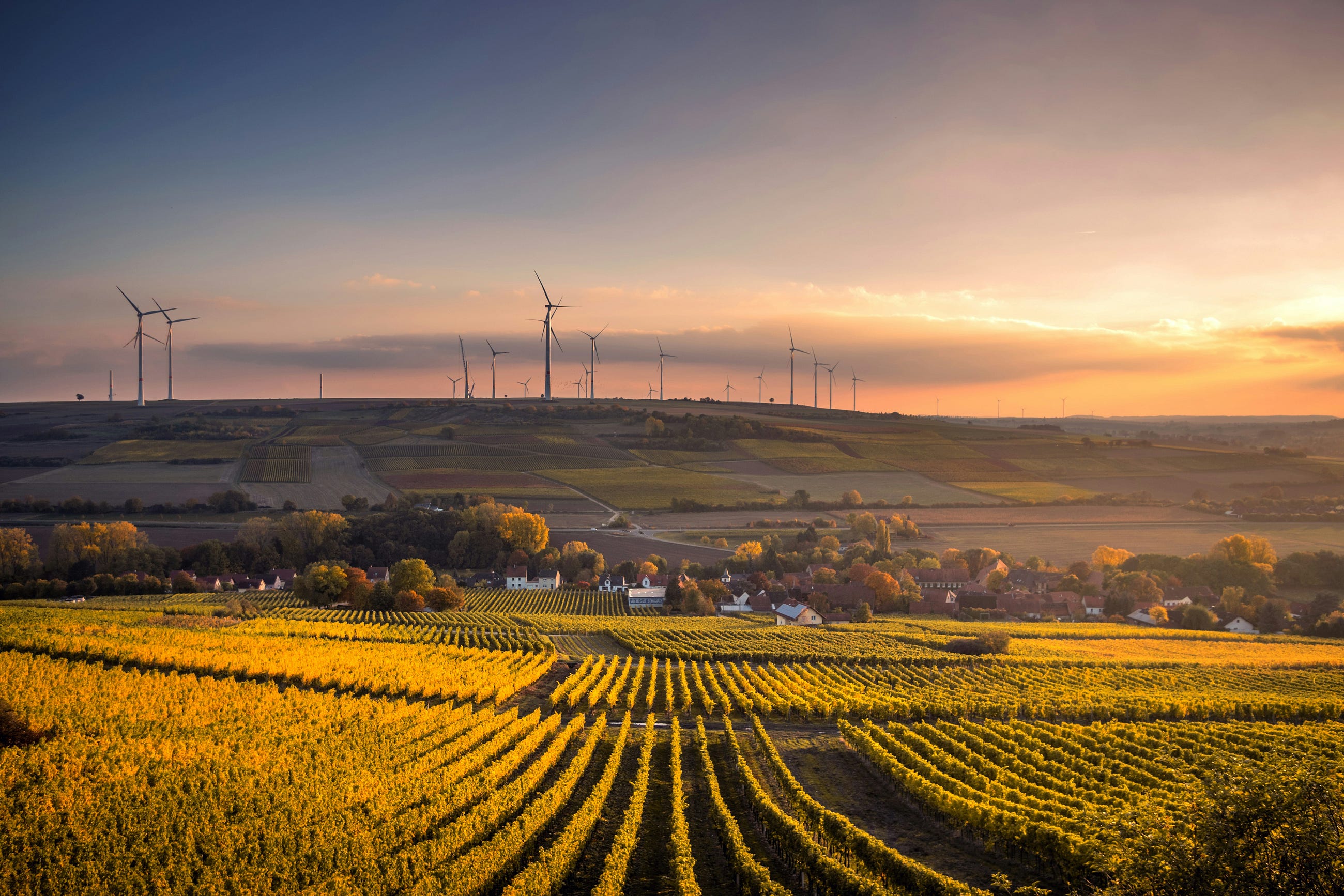 The New Direction for Farming: How I’m Making it Smarter