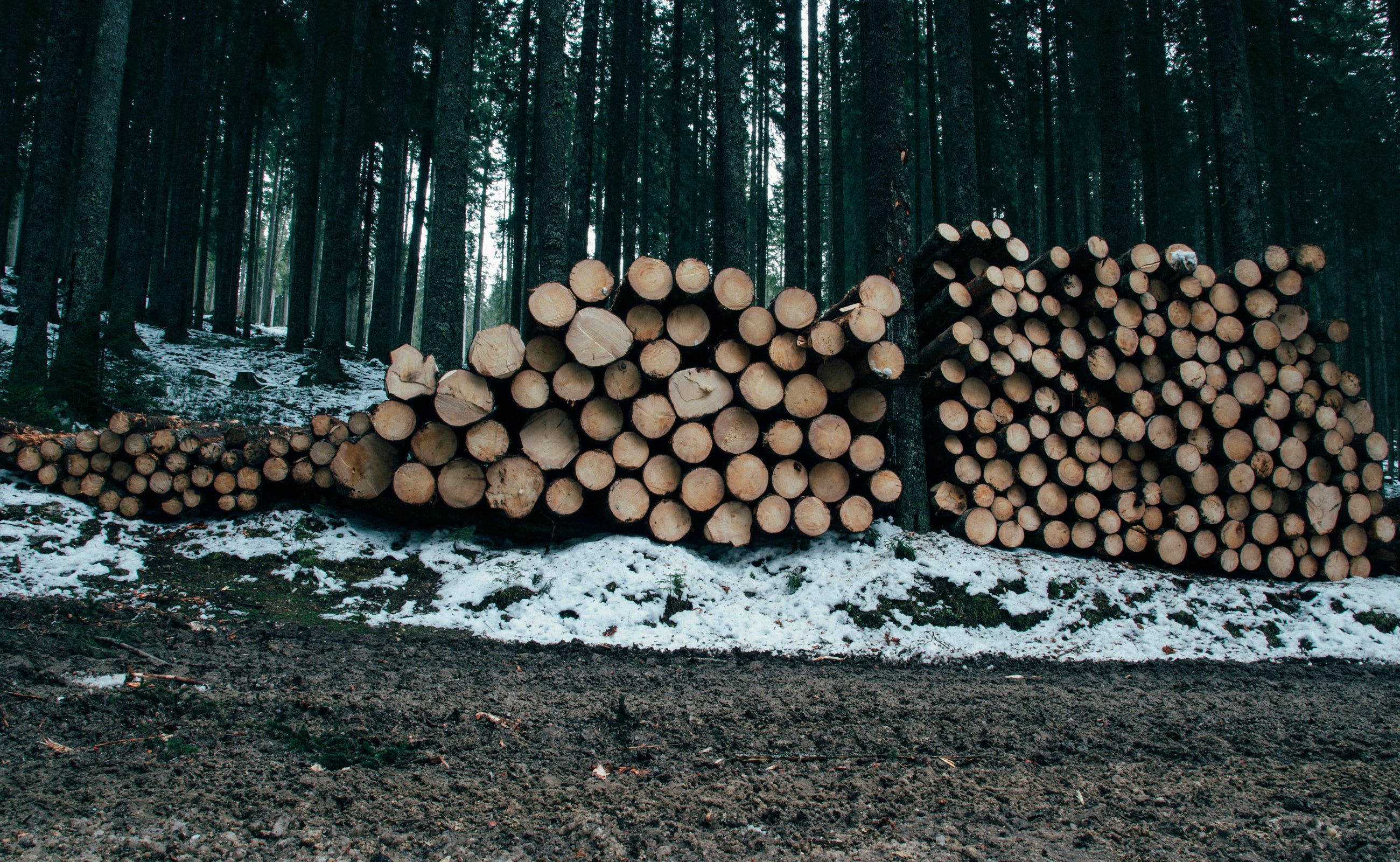 The Kotlin Logging Way