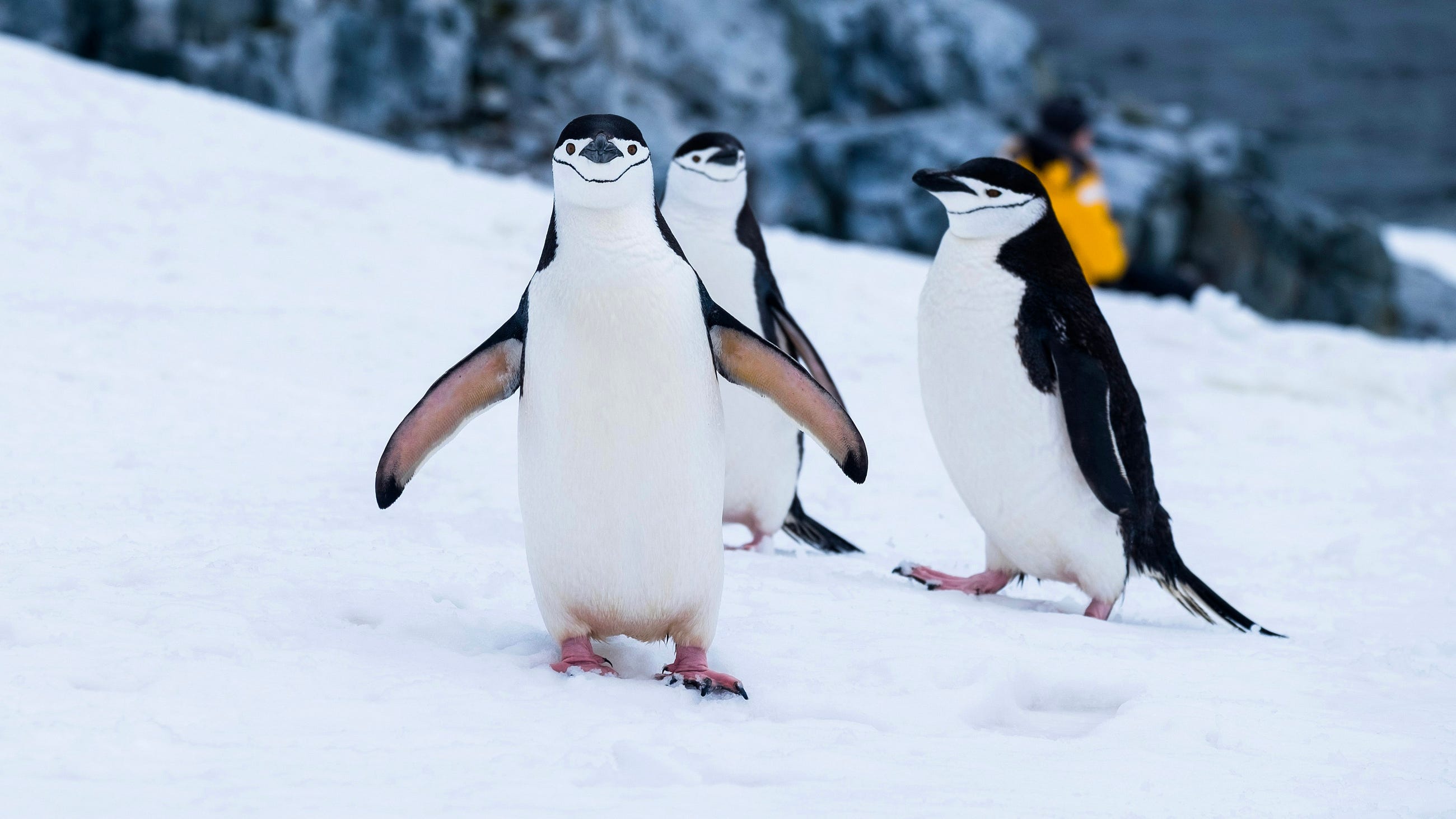 What Linux Gets Right And Windows Completely Ruins