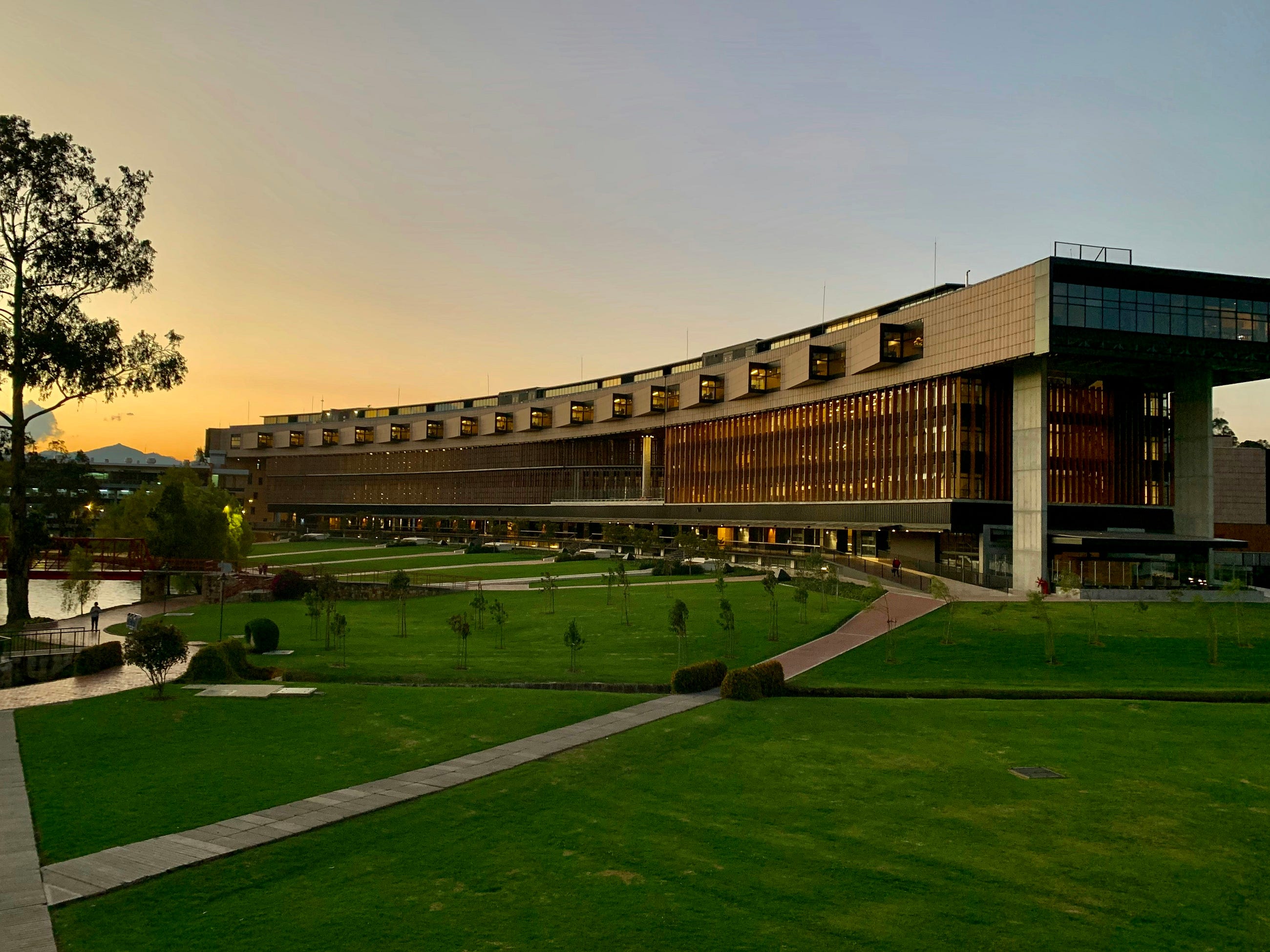 8 Ways Universities & Colleges Can Embrace AI in the Classroom
