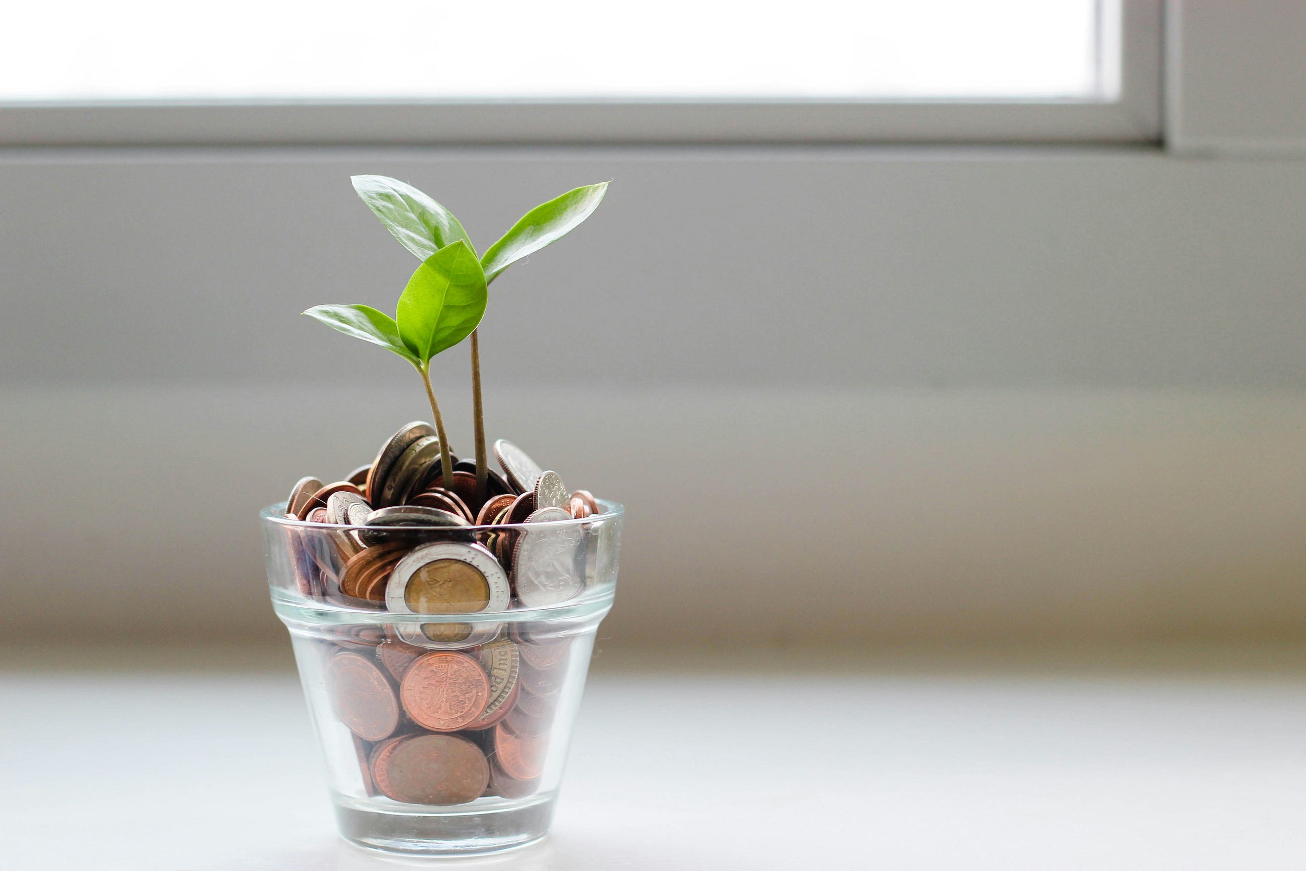 Discover How Prompts Simplify Financial Analysis