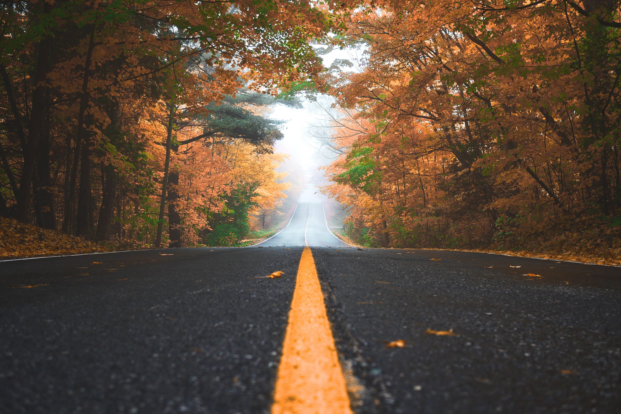 How to Get the Background Image URL of an Element Using JavaScript?