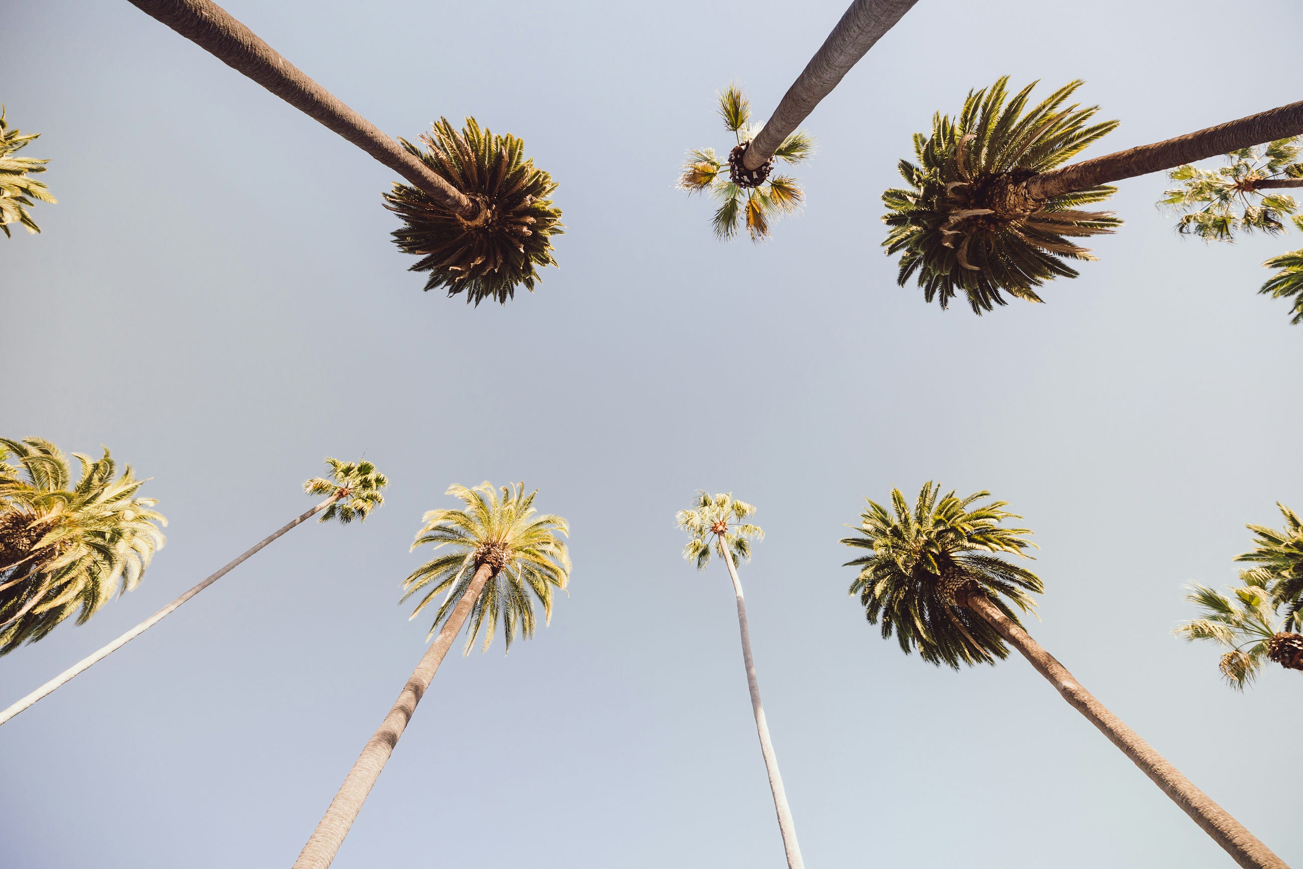 Photo by Joseph Menjivar on Unsplash