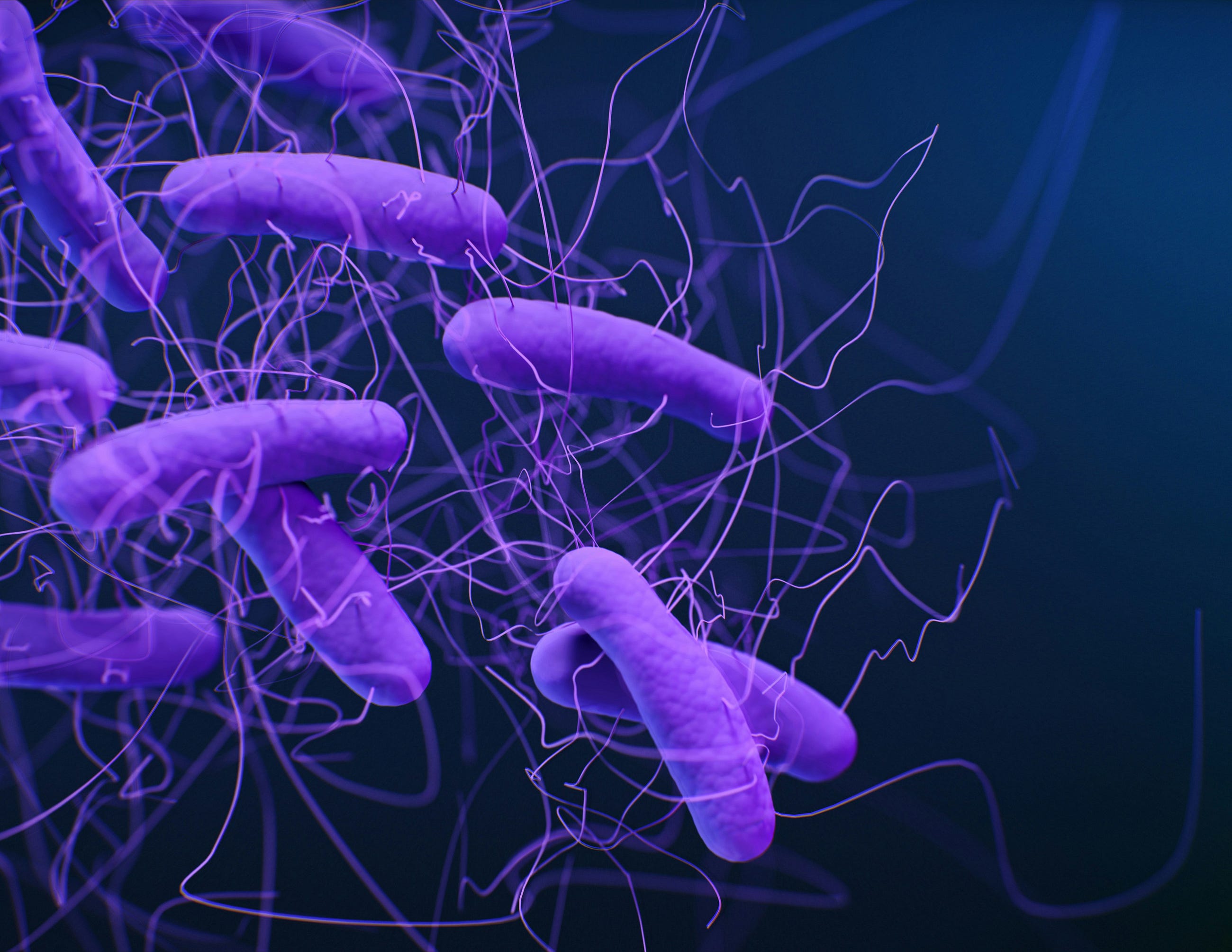 Bioinformatics Pipelines for Microbiome Analysis with Python and QIIME 2