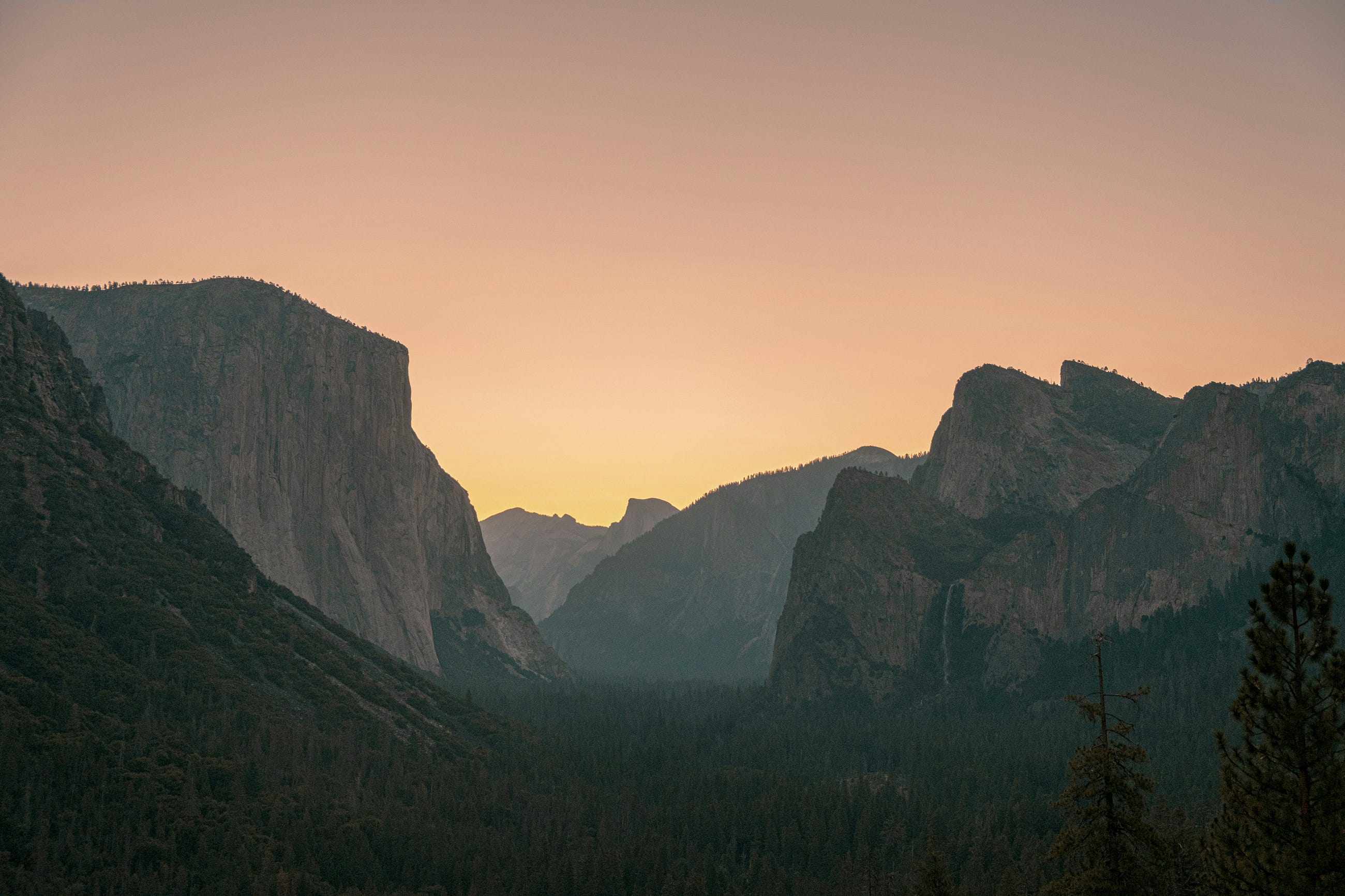 Photo by Mo on Unsplash