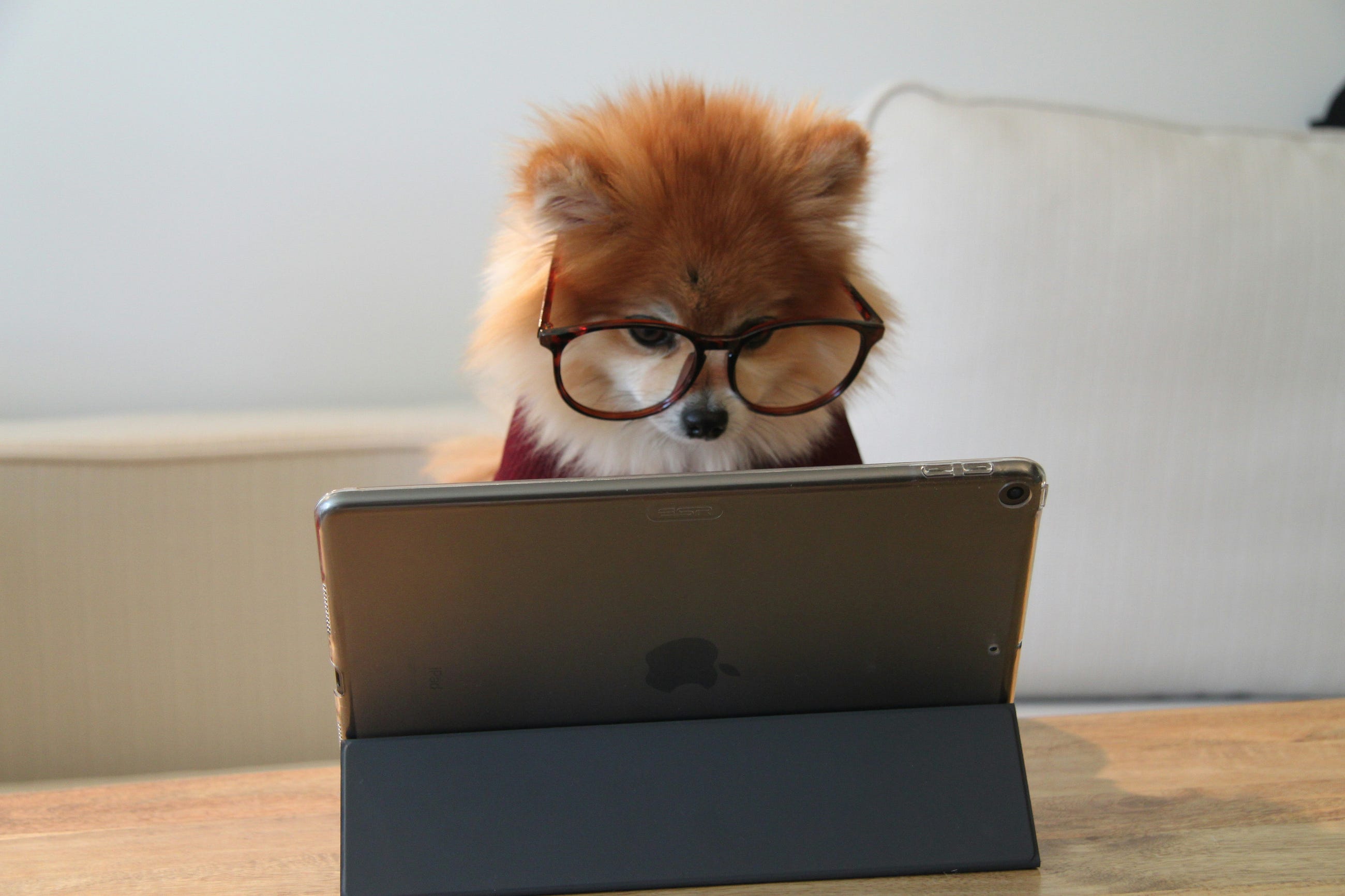 The Most Profitable Skill Nobody’s Teaching: Tech Translation