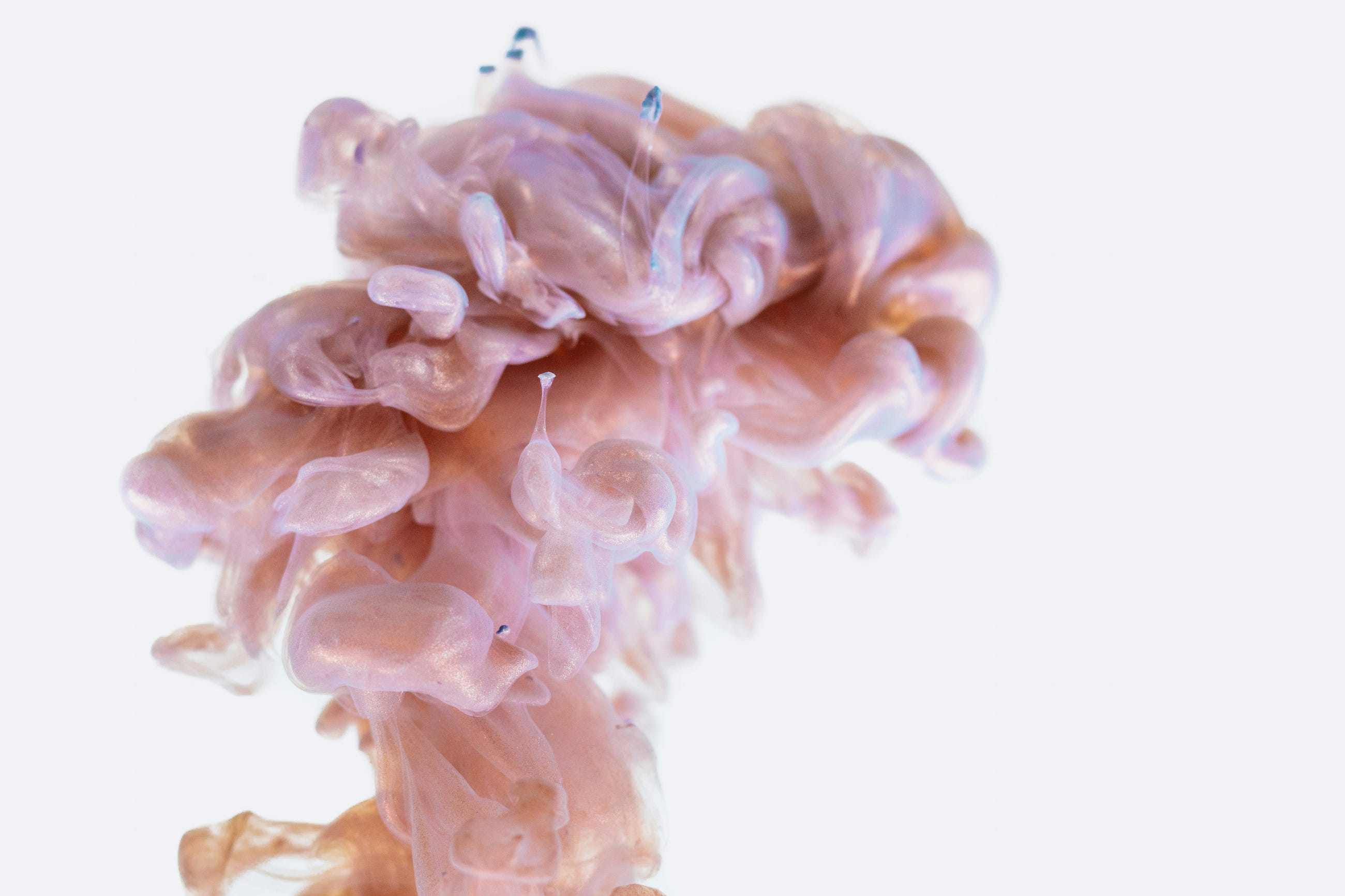 Your Brain Isn’t Lazy. It’s Addicted.