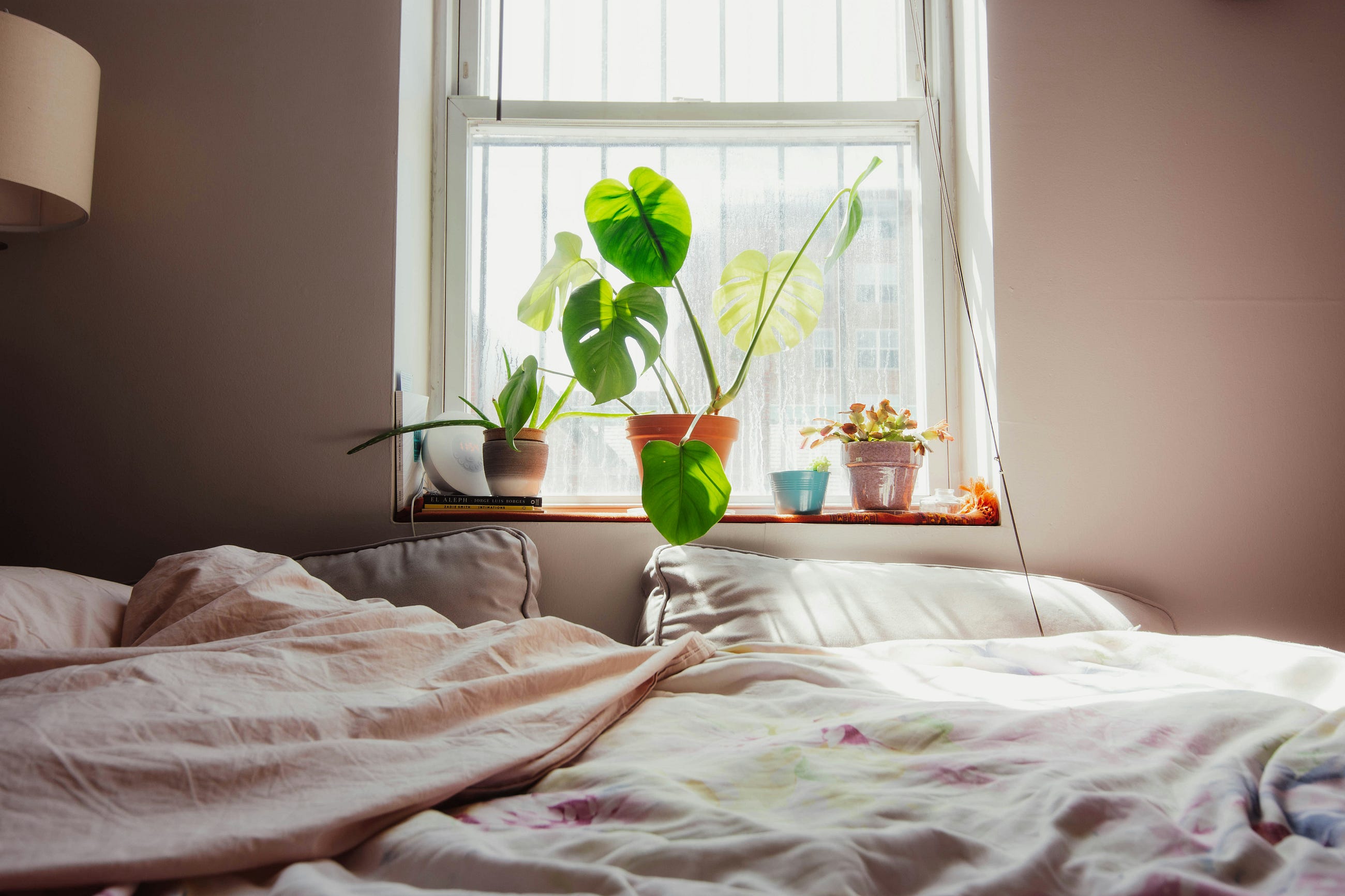 Your Bedroom Is A Map of Your Mind