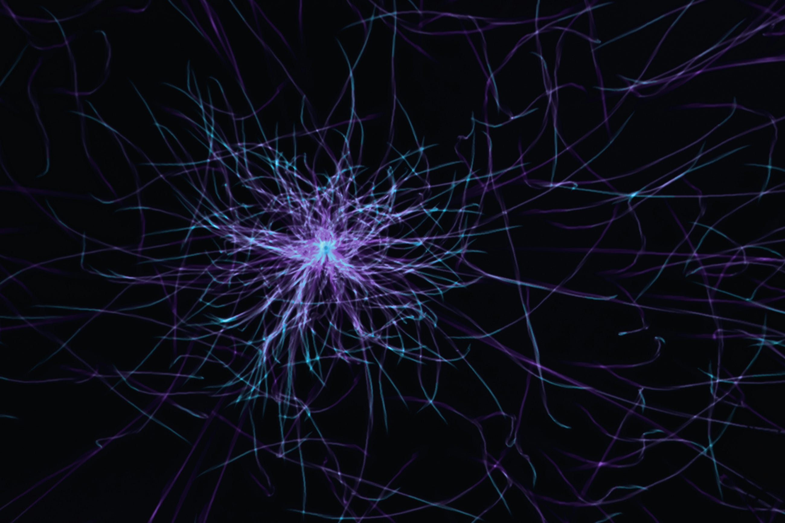 Graph Neural Networks Have Already Solved Hard Problems. Crypto AML Is Next.