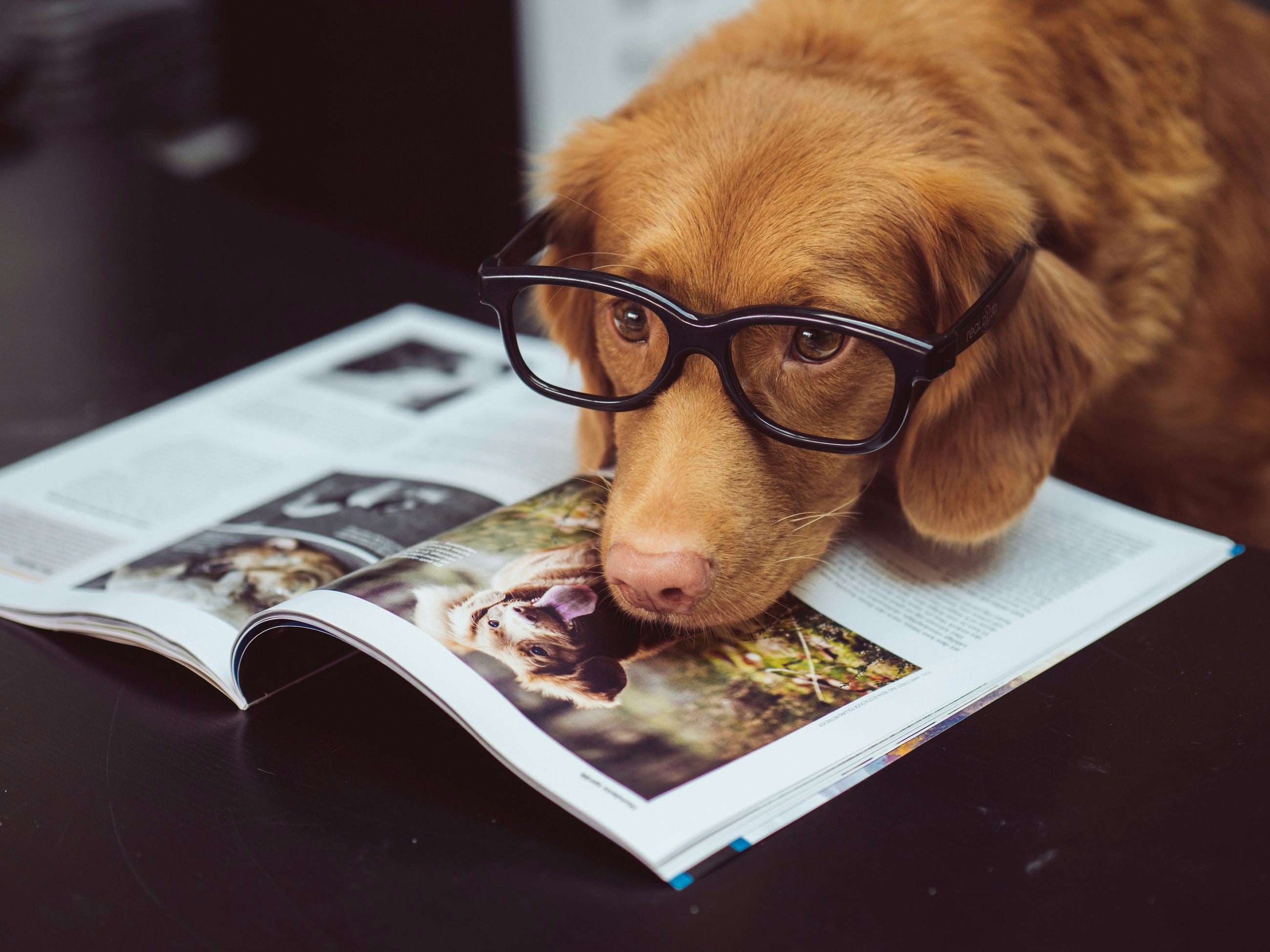 Why Shouldn’t You Start Learning from OOP?