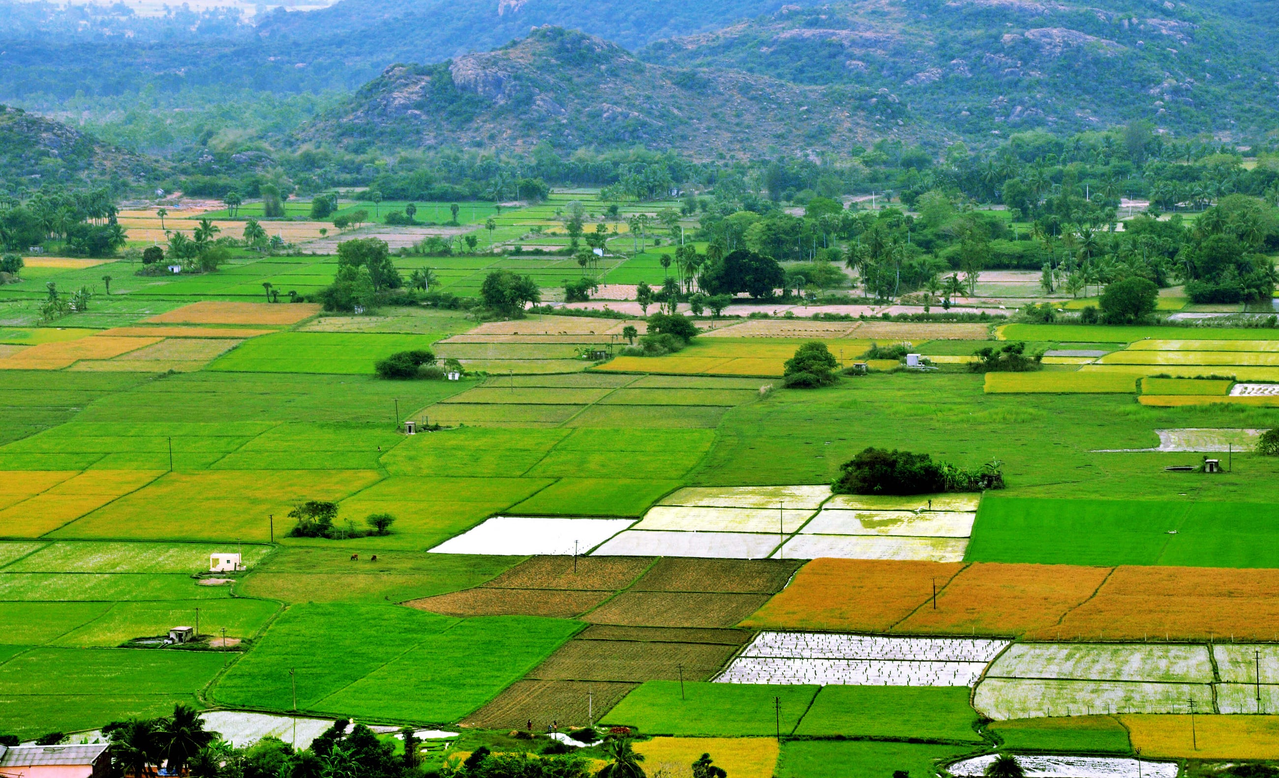 The End of the Paper Trail: How AI, LiDAR, and Blockchain are Fixing India’s Land Records