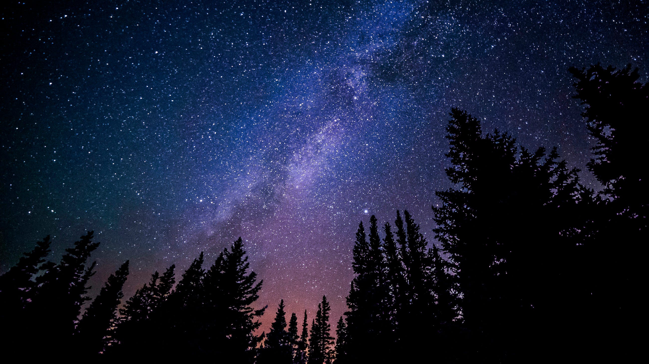 ?The Timeless Dance of the Stars: A Story of Astronomy