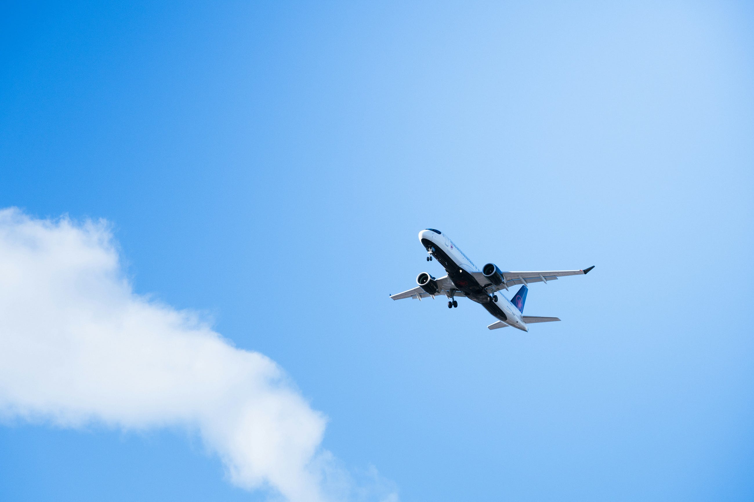The Day My Fear Took Flight