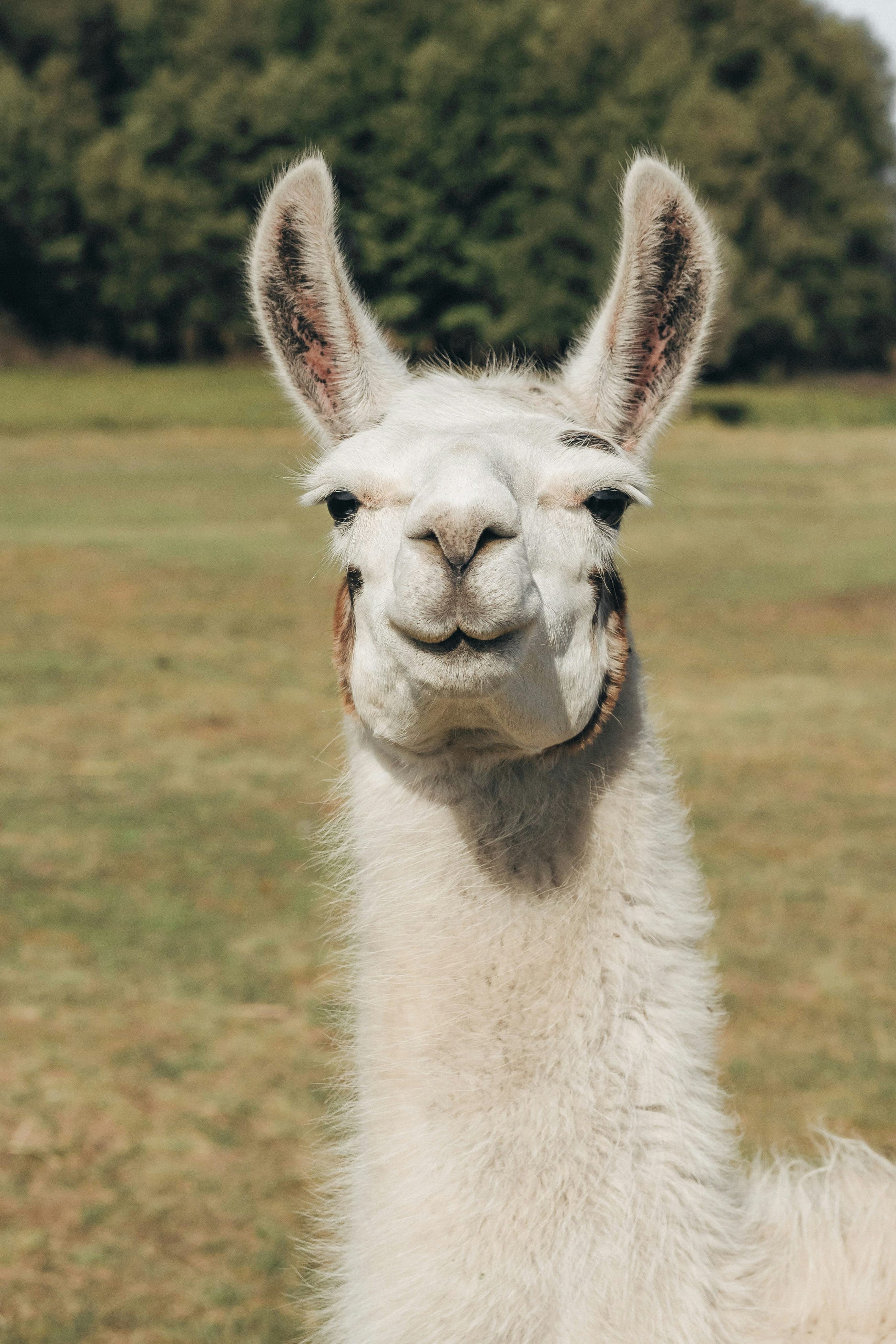 Getting started with LlamaIndex — Part 1