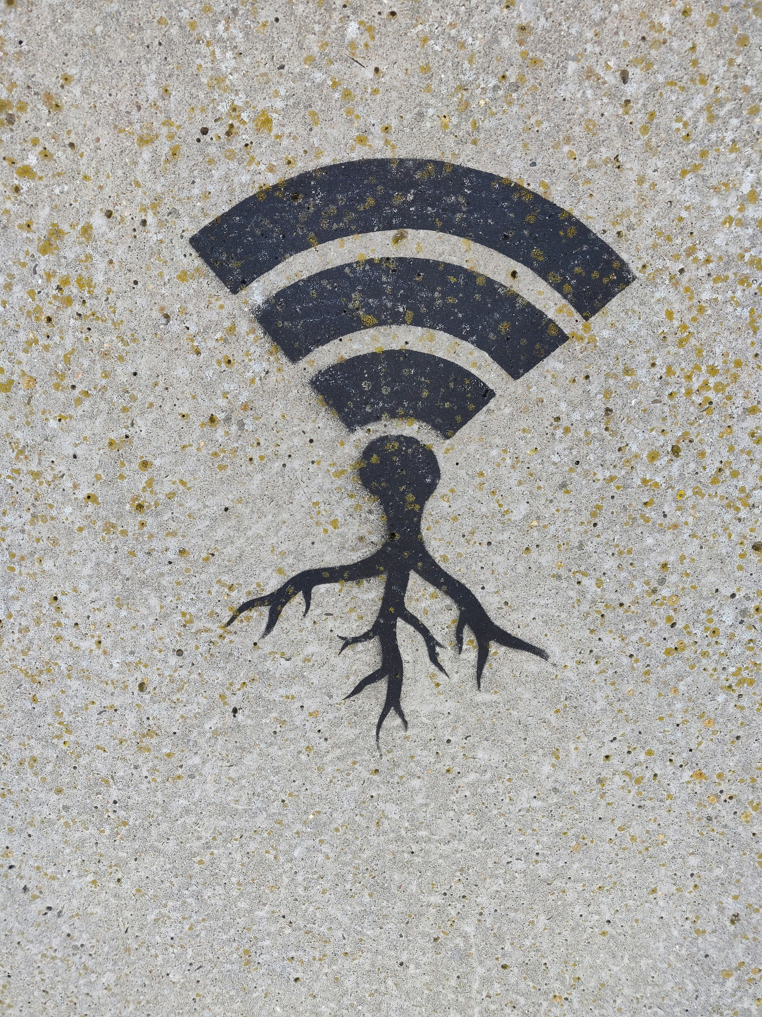 Learning Networks with Linux: Wi-Fi IEEE 802.11 (part II)