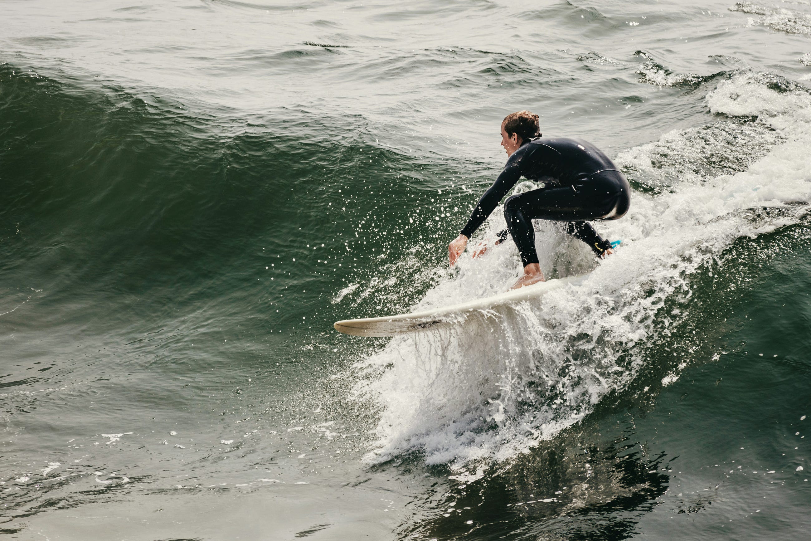 Day 4: Riding the Wave (How to Read Market Trends Without Getting Lost)