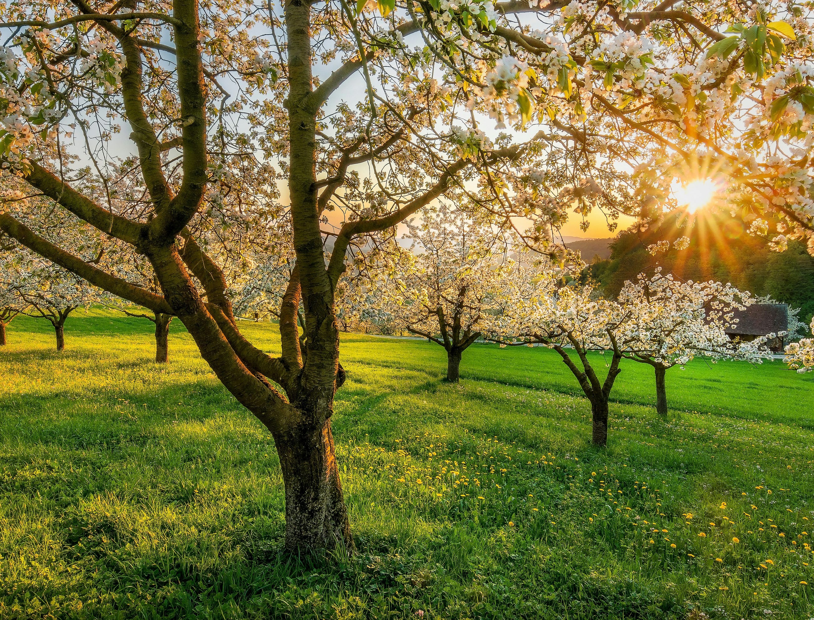 Spring Boot Essentials 2026: The Ultimate Guide to Spring Framework 7 vs. Spring 6