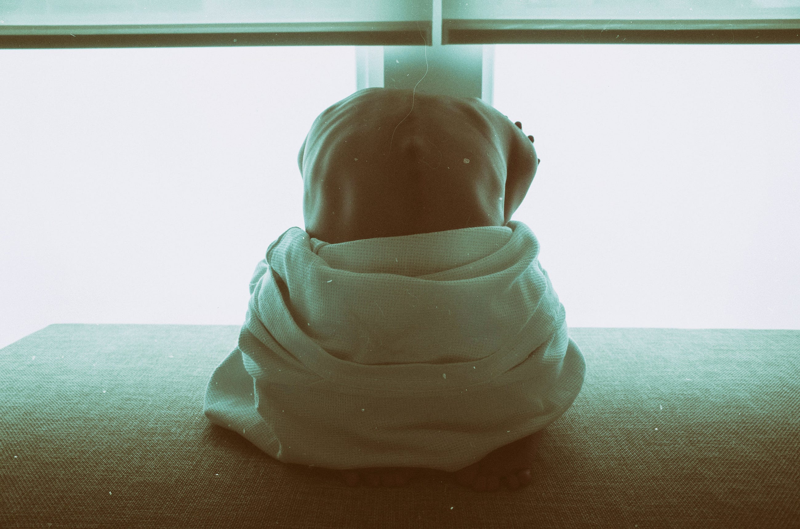 Why Trauma Bonds Feel Erotic