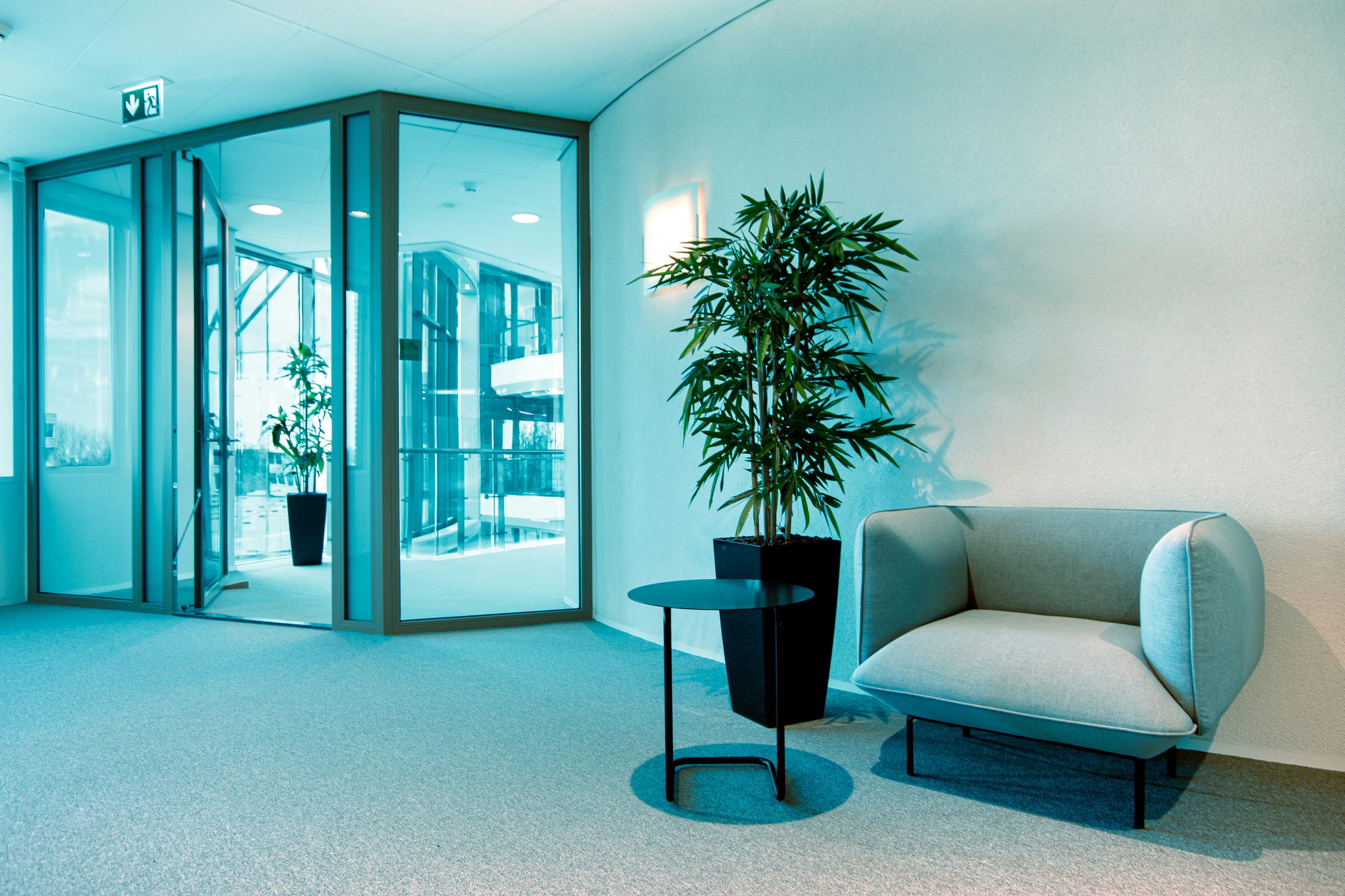 The Quiet Space: Your Sanctuary in a Noisy World