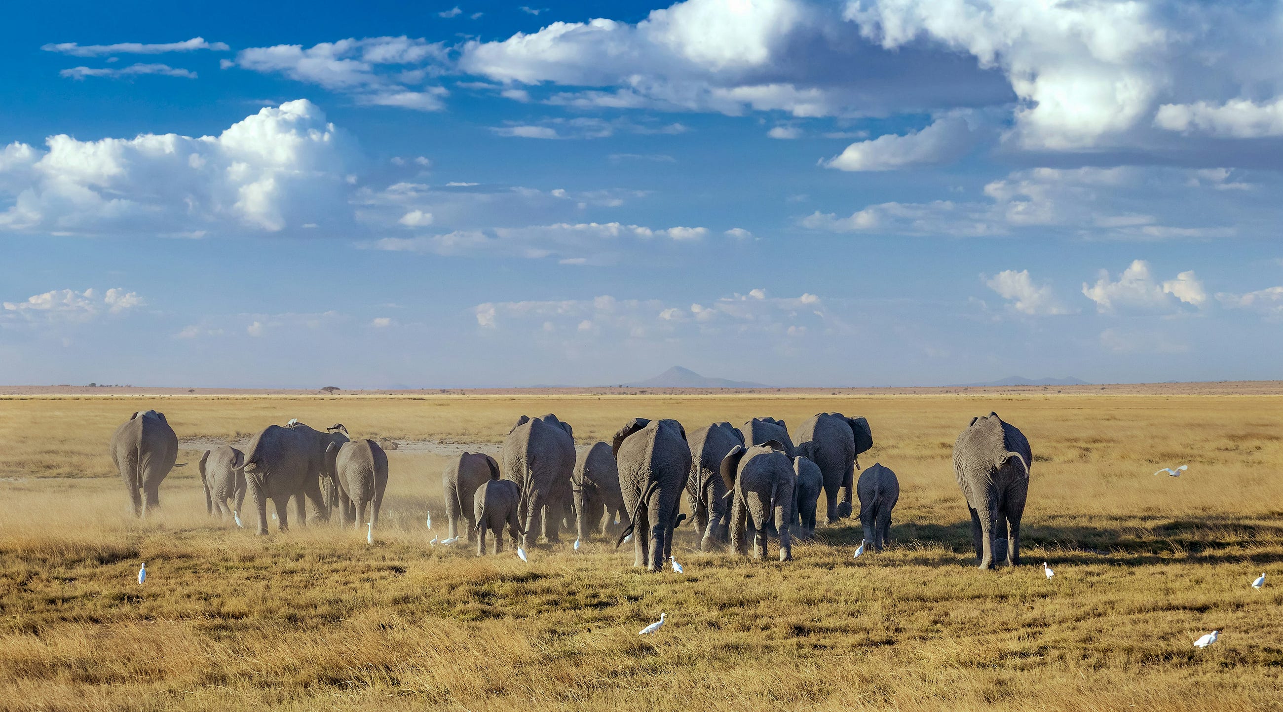 6 PostgreSQL Tricks That Made Me Rethink How I Write Queries