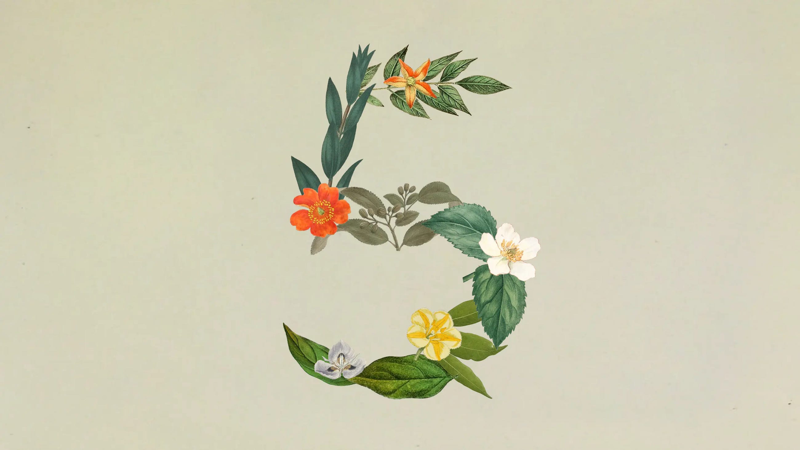 Claude Sonnet 5 Is Here: Why It Might Replace Your Opus Subscription