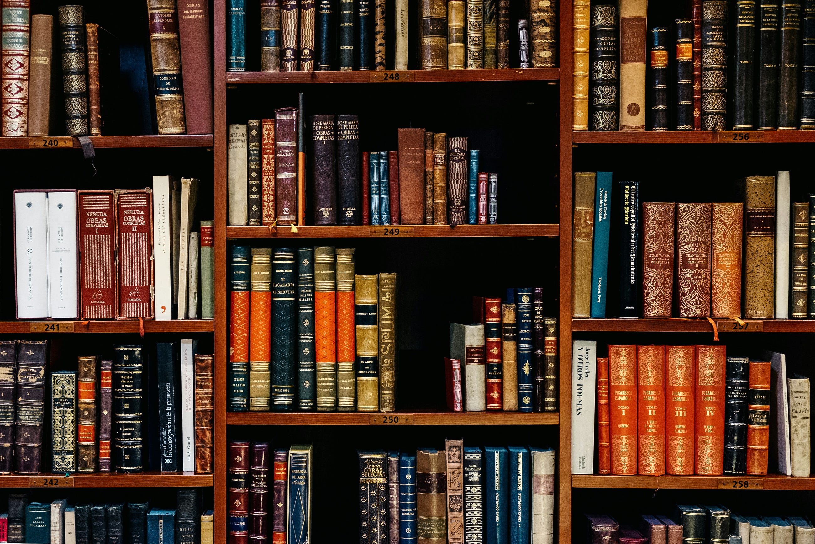 Awesome .NET Libraries Every Developer Should Use