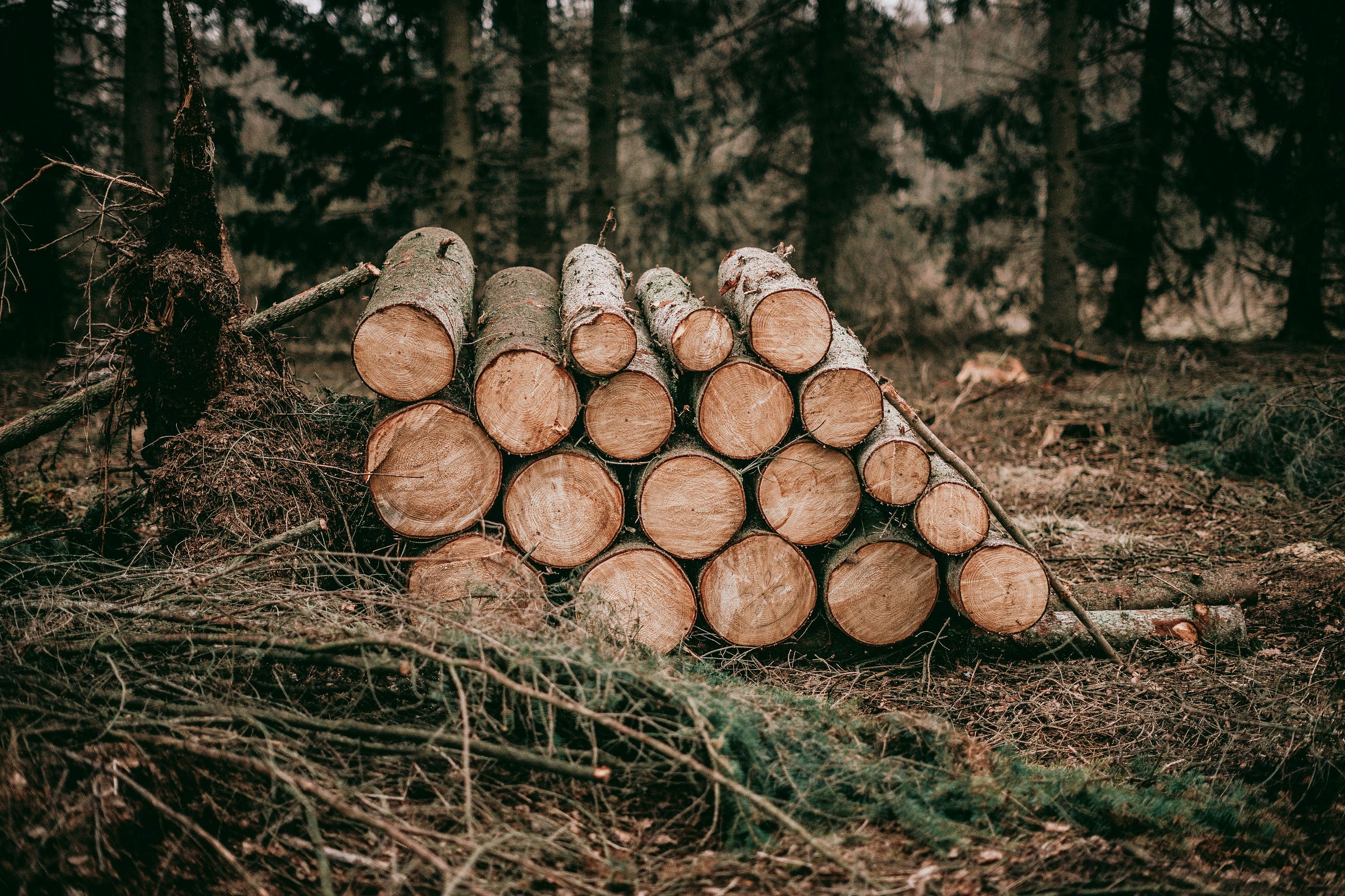 git log is more powerful than you think