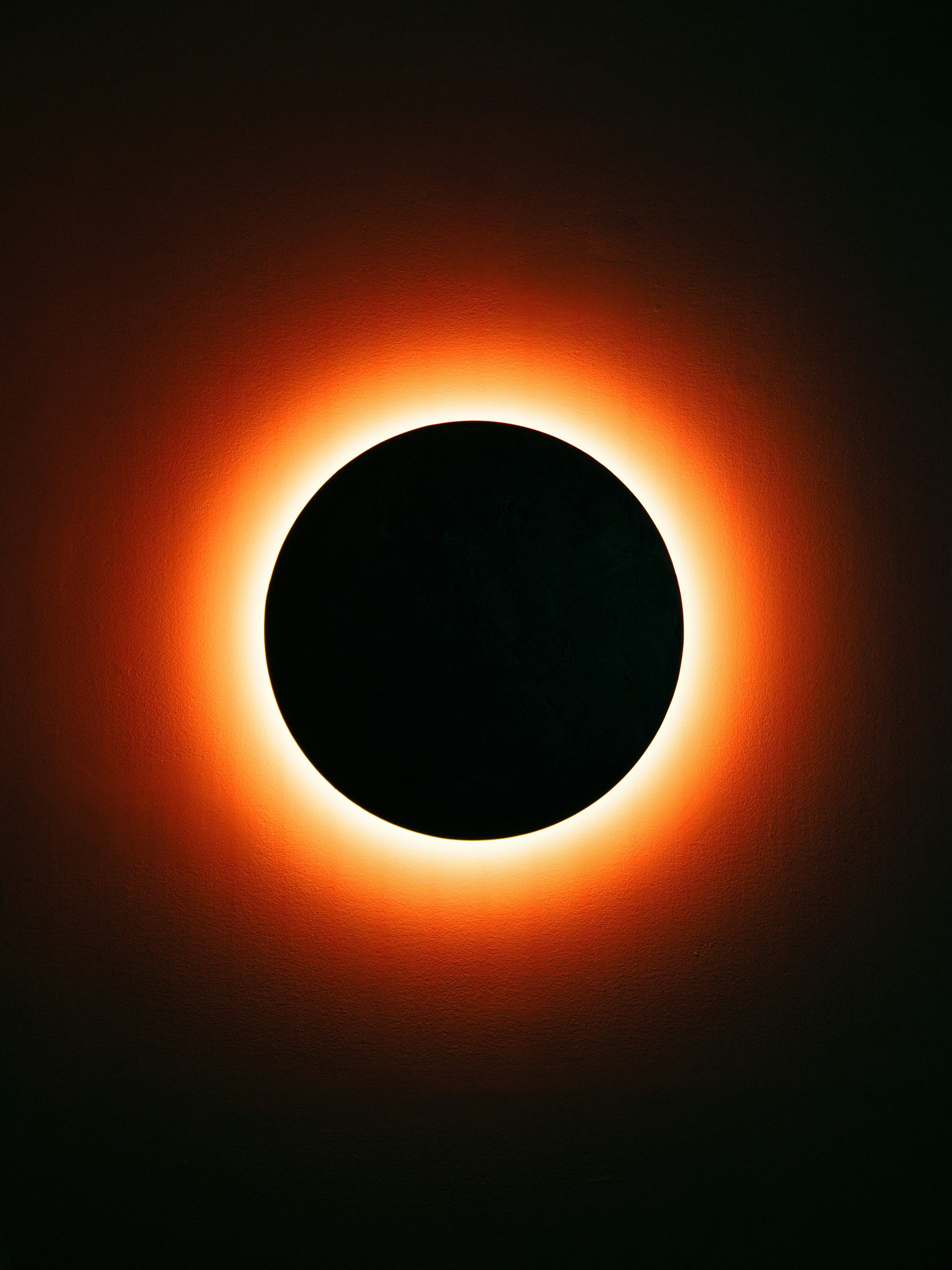 A Spectacle for Penguins: Why the February 17th Solar Eclipse Is Just