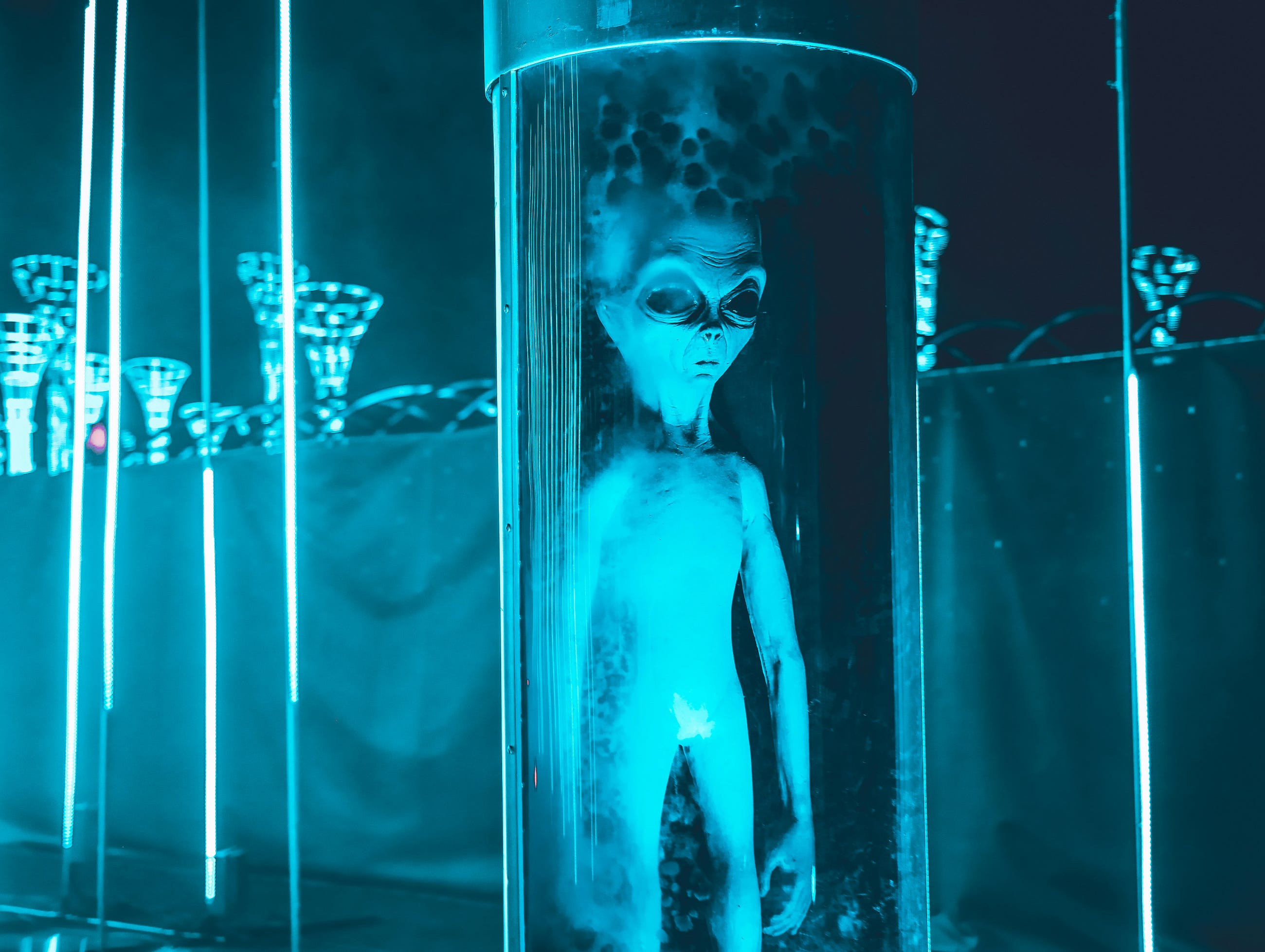 The Biological Trojan Horse: Your Pets Are Alien Nanny-Cams!