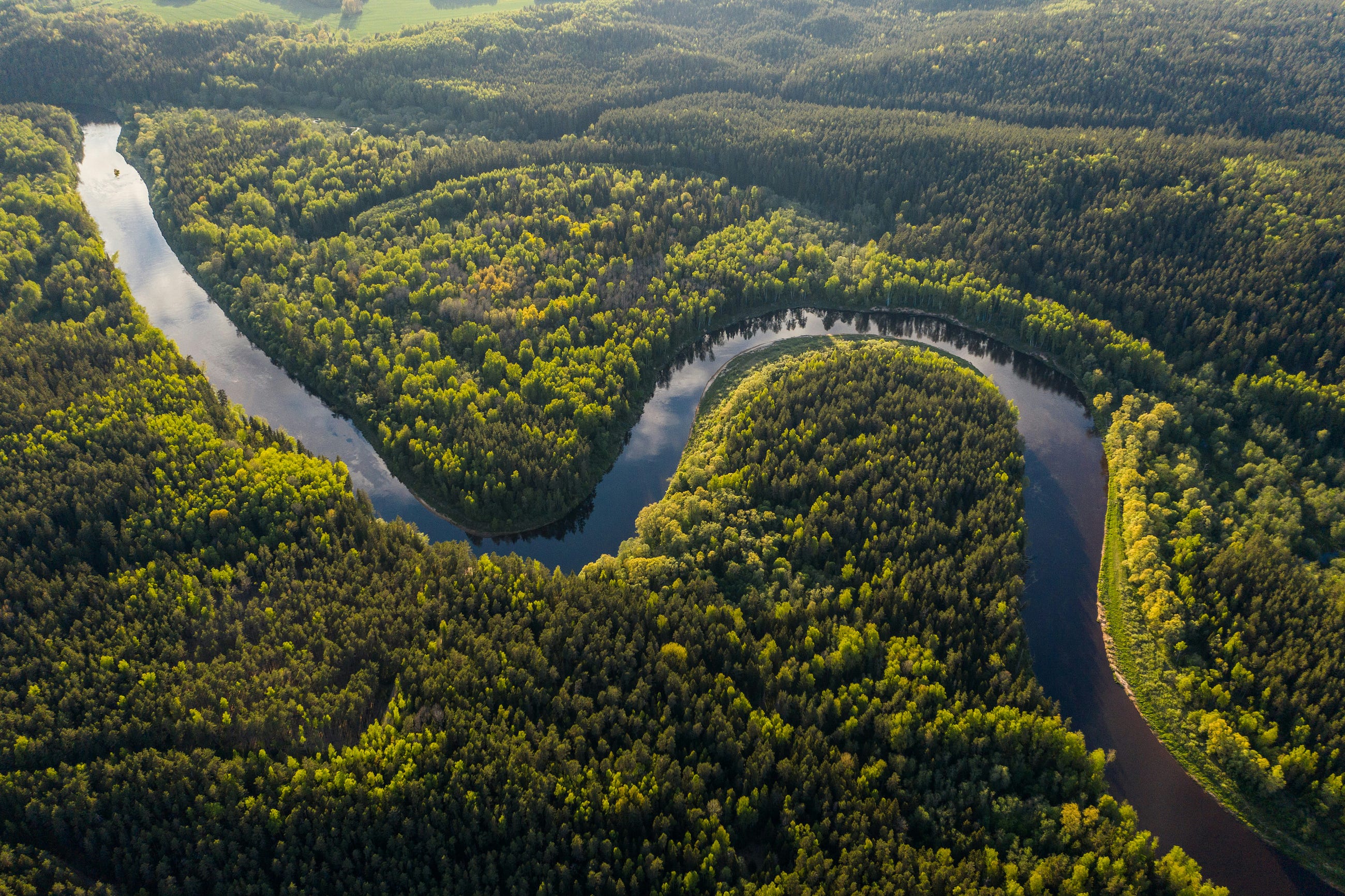 One important lesson when building reforestation vs. deforestation monitoring systems
