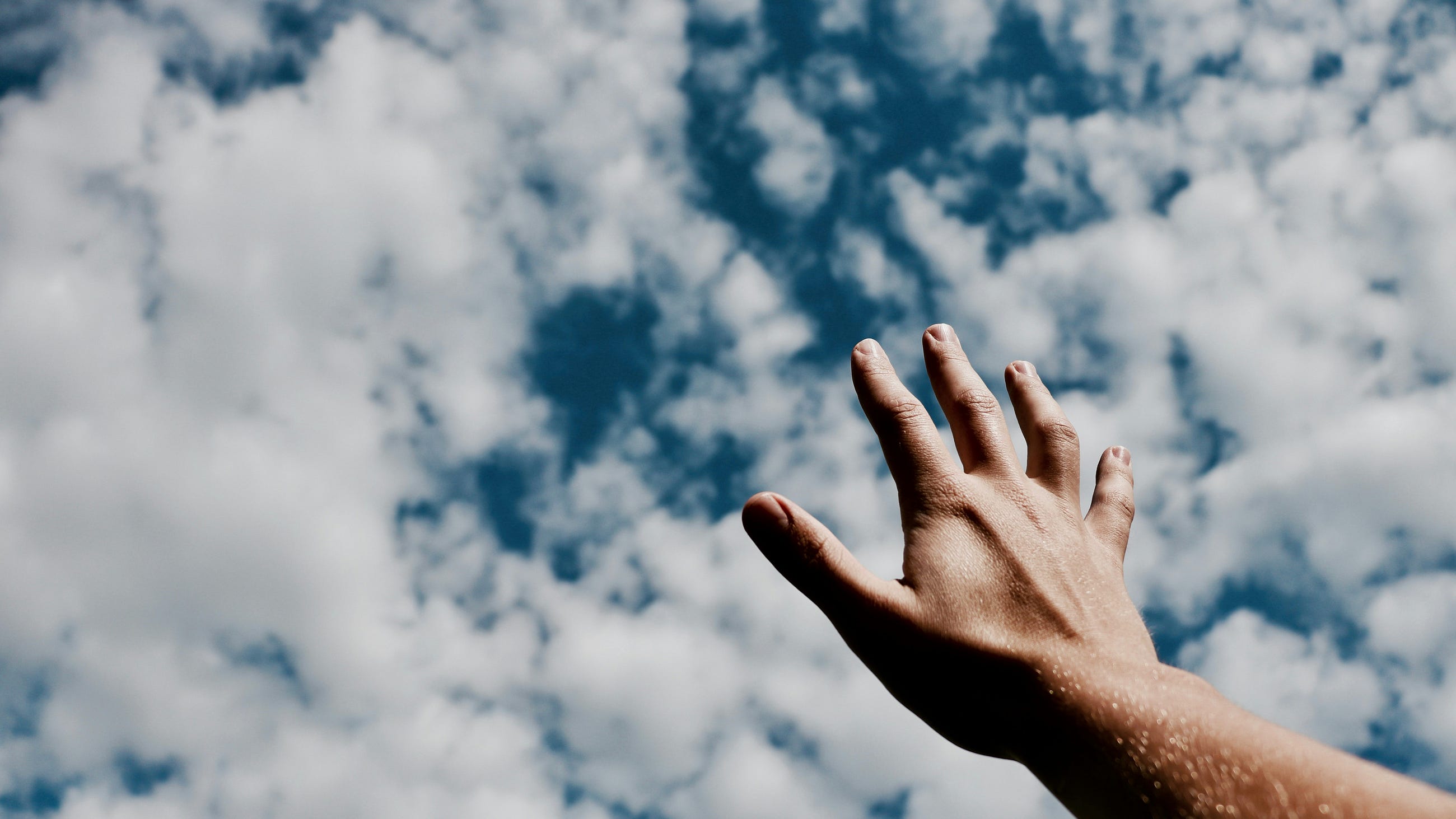 Is hope a healthy VC investment strategy?