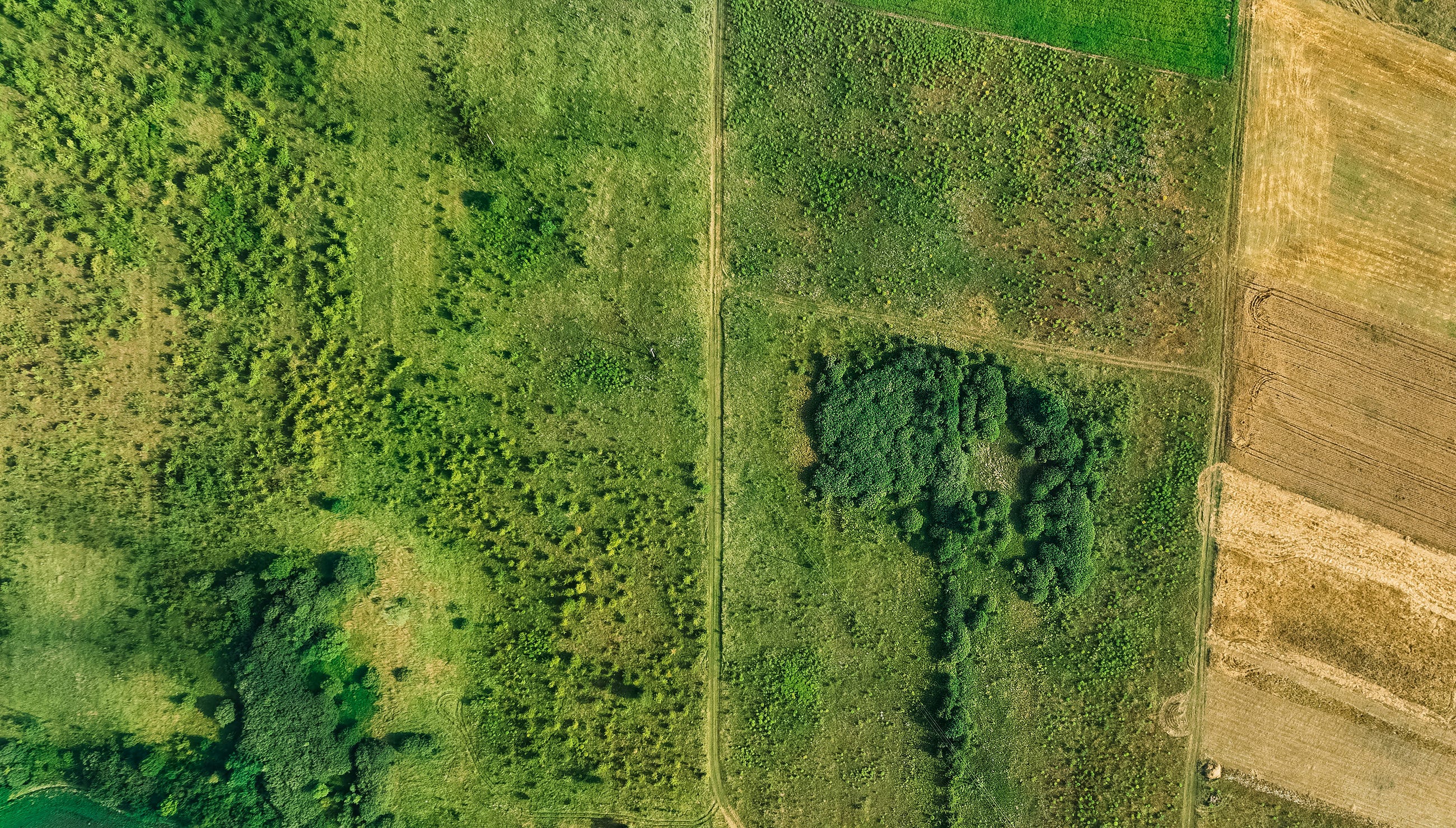 GIS on Medium - Precision Agriculture Using GIS and Remote Sensing Technologies