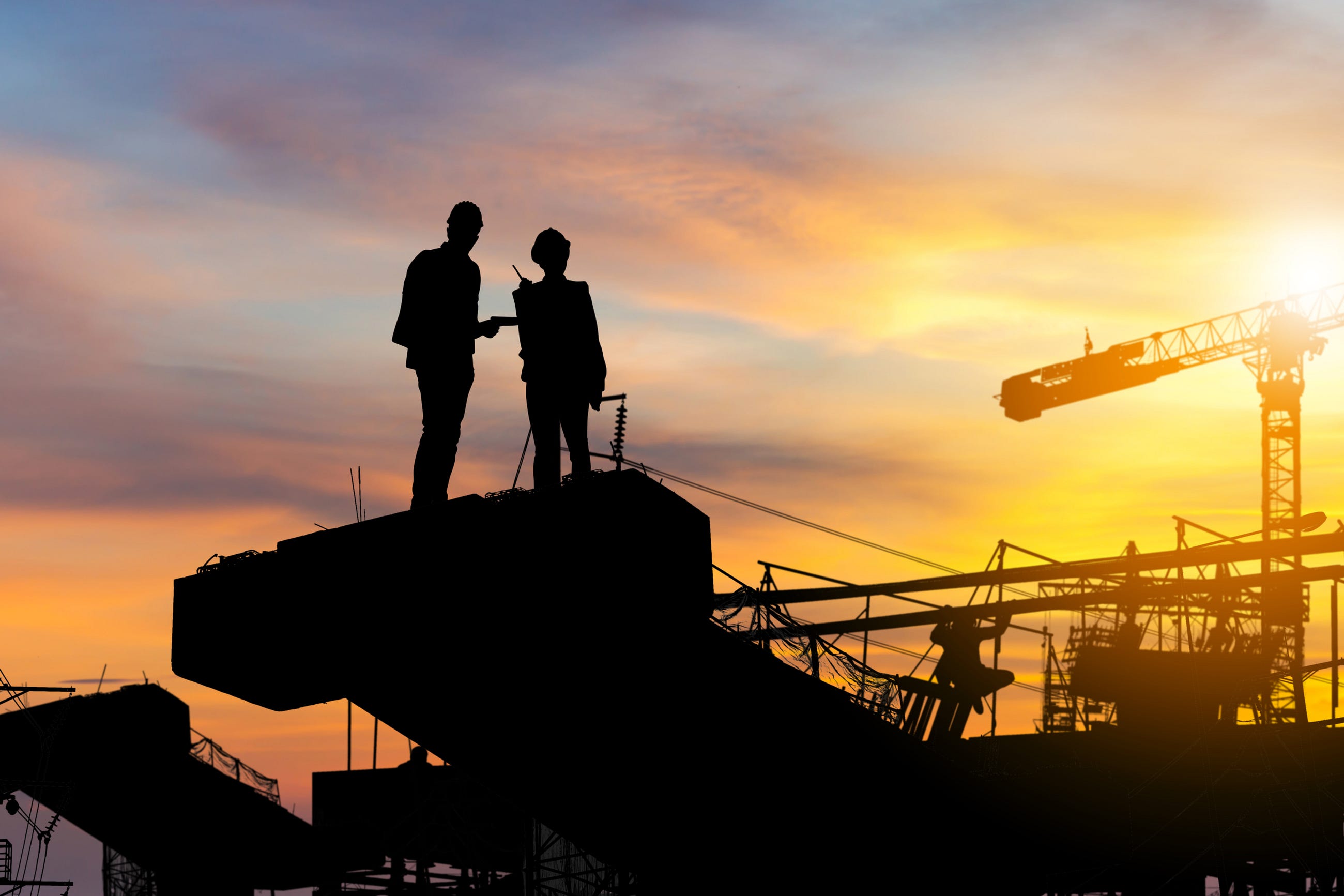 What is Intelligent Adaptive Project Management?