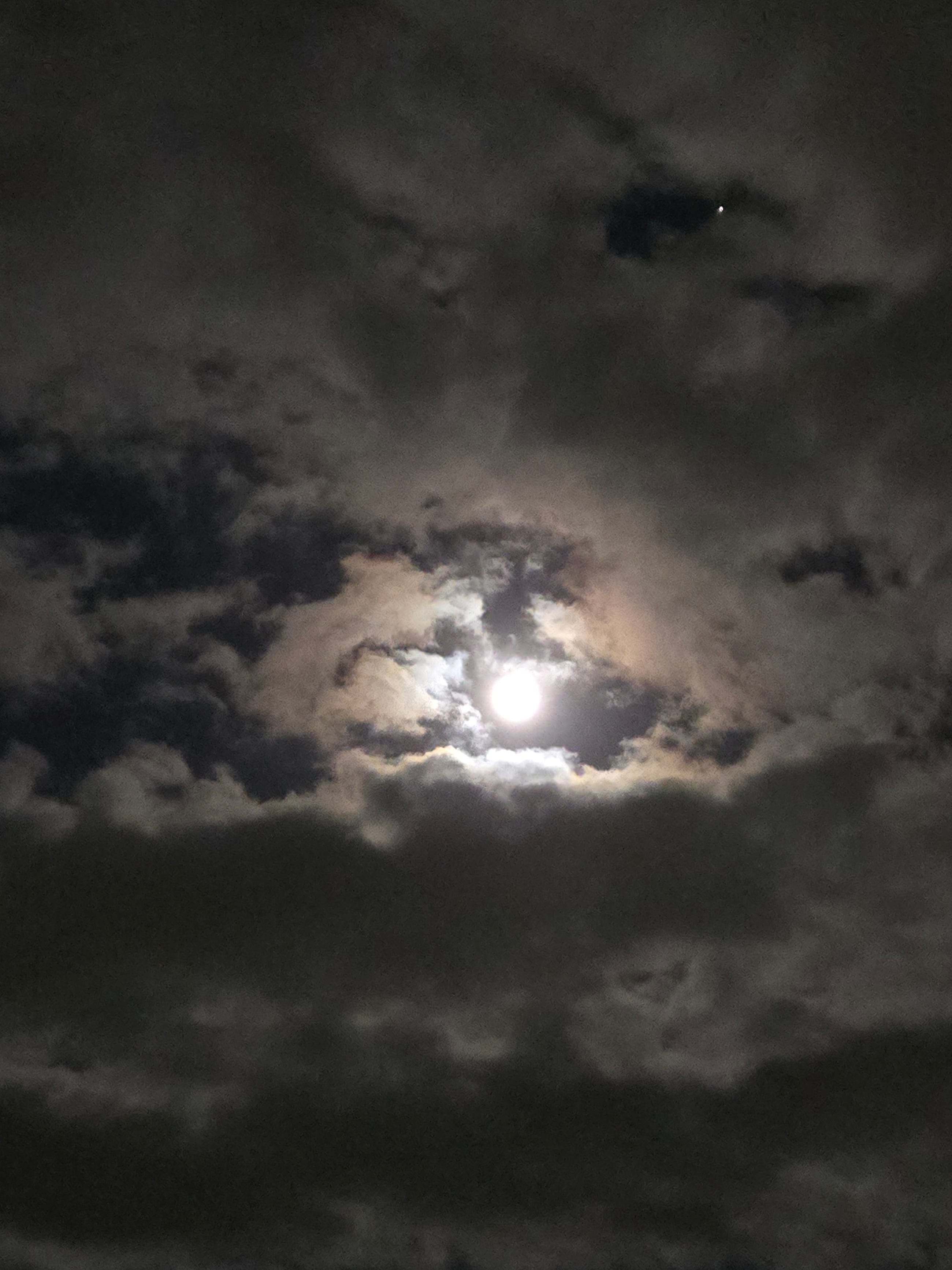 Look…. An Atom of Humanity-