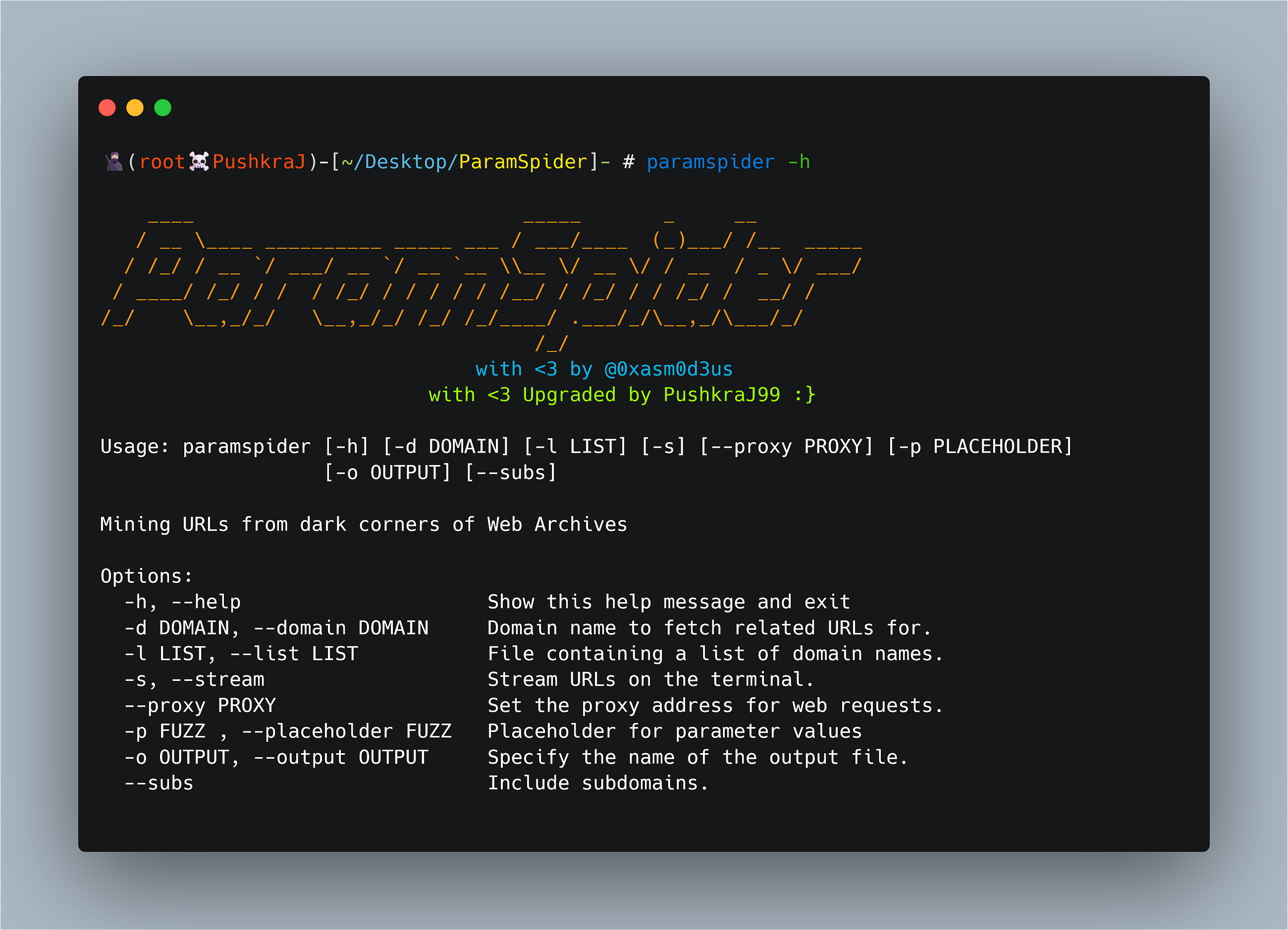 Paramspider Upgraded Version