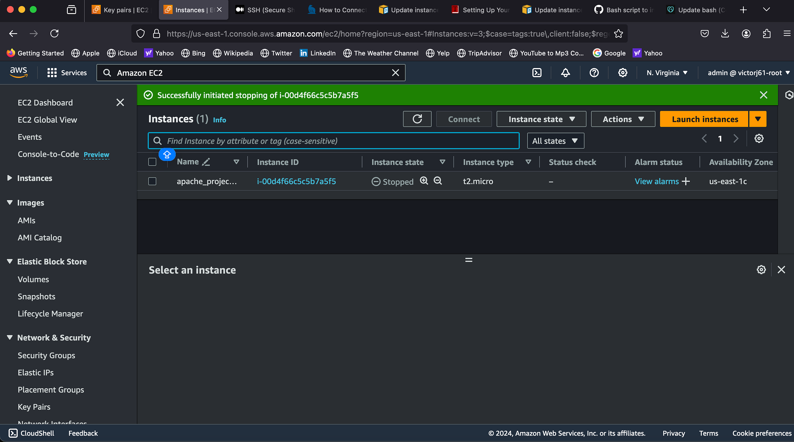 Installing an Apache HTTP Web Server on an AWS EC2 Amazon Linux 2 Server