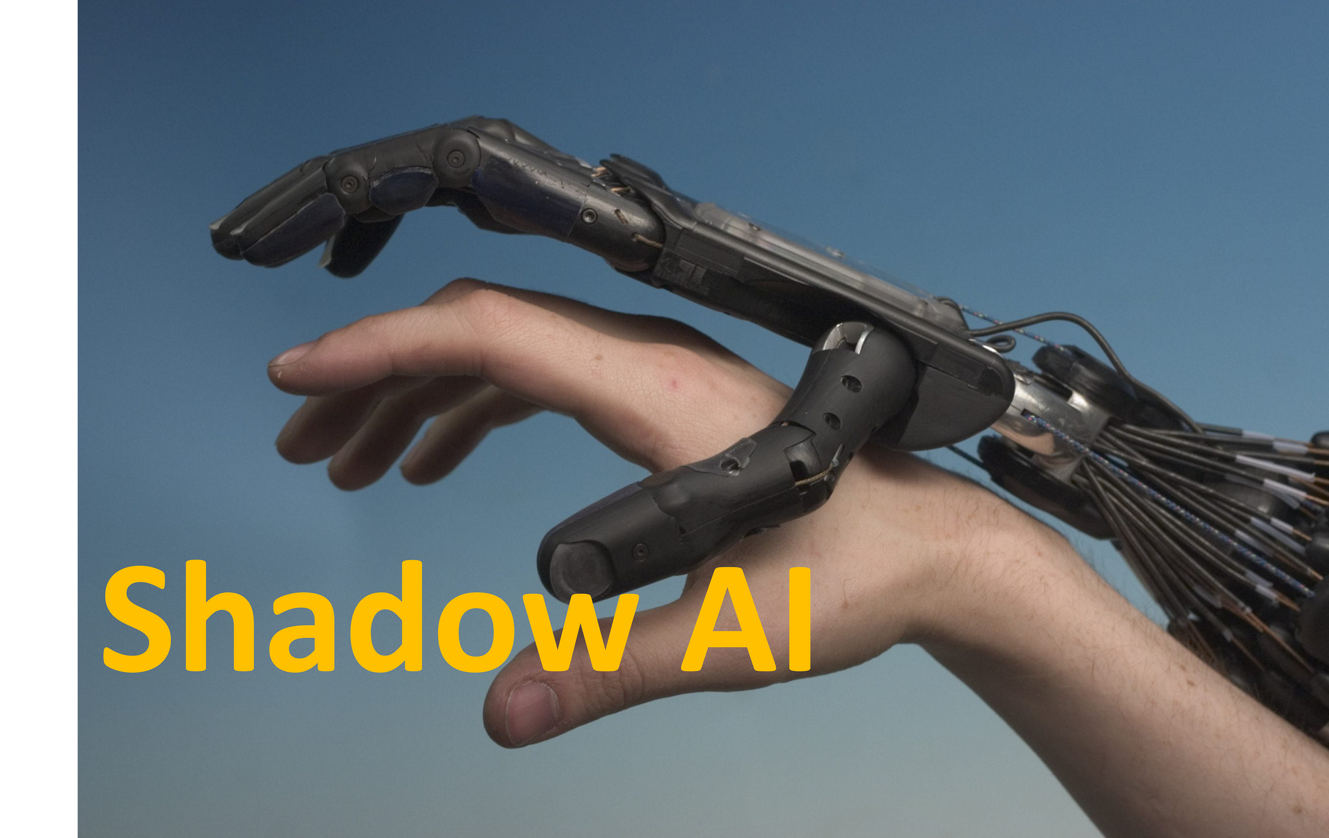 Shadow AI -Risks and Opportunities