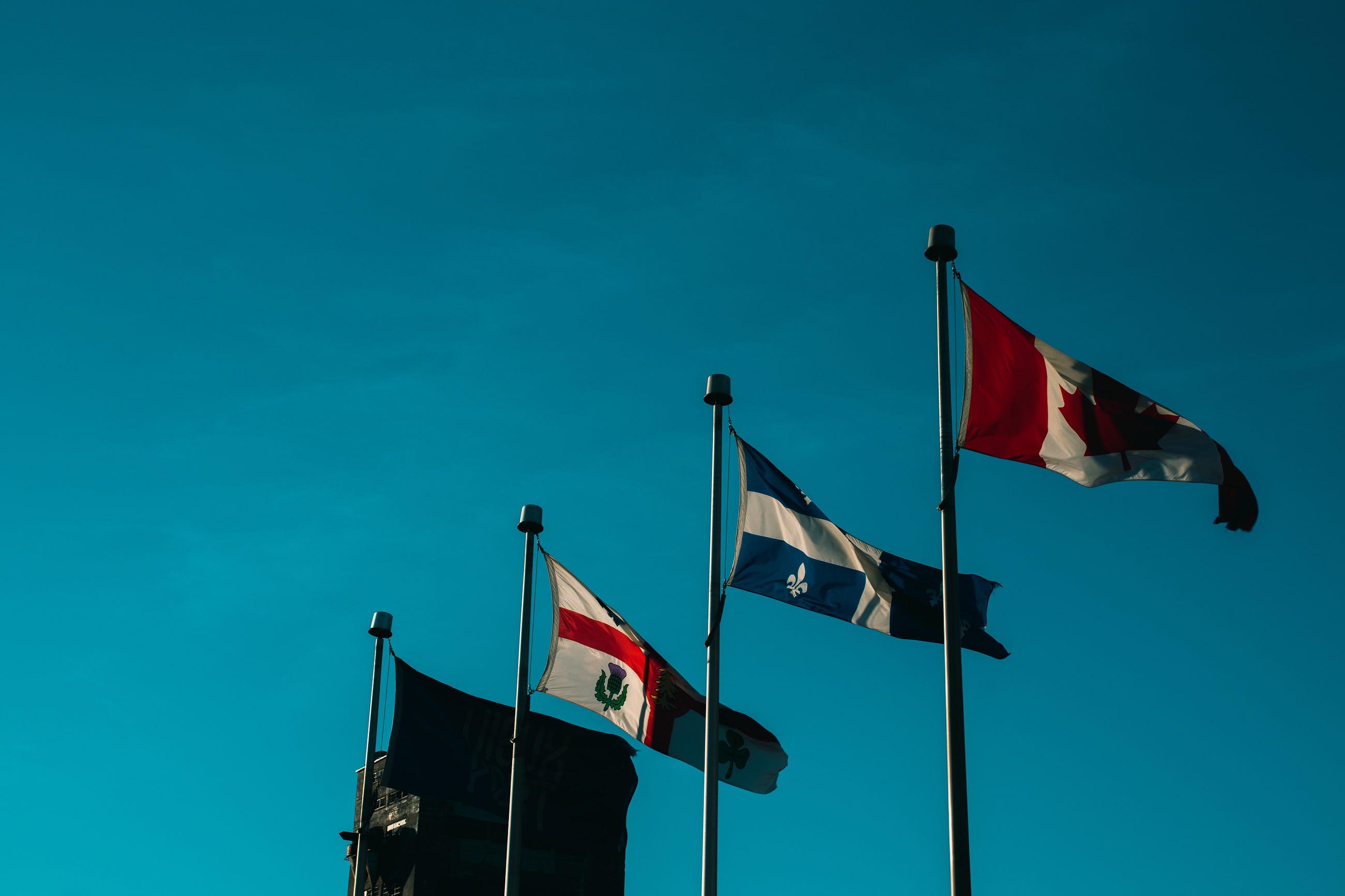Influencer Insights: Embracing Quebecois Culture in American Brand Strategies