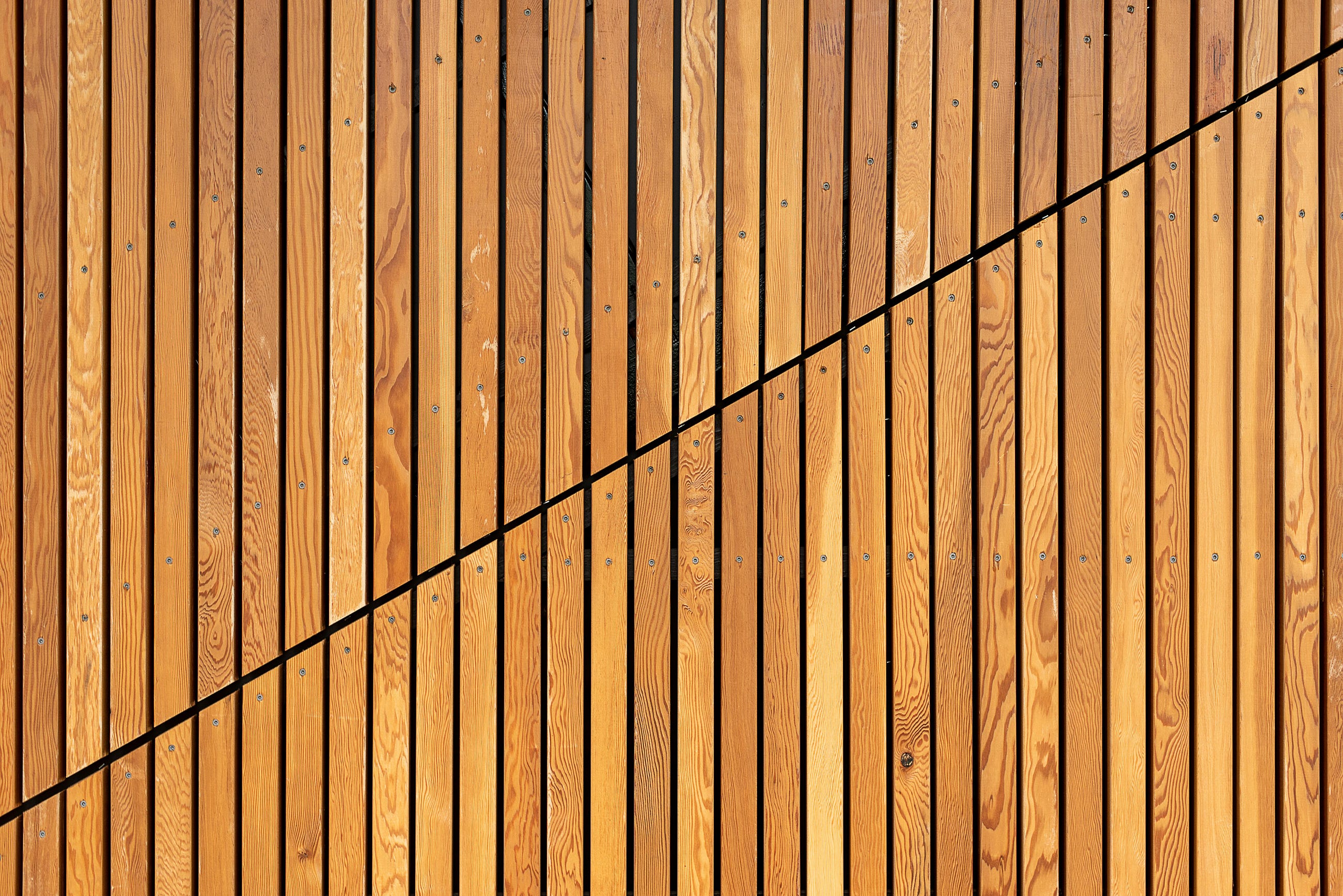 Parallel Lines — Tale #4.