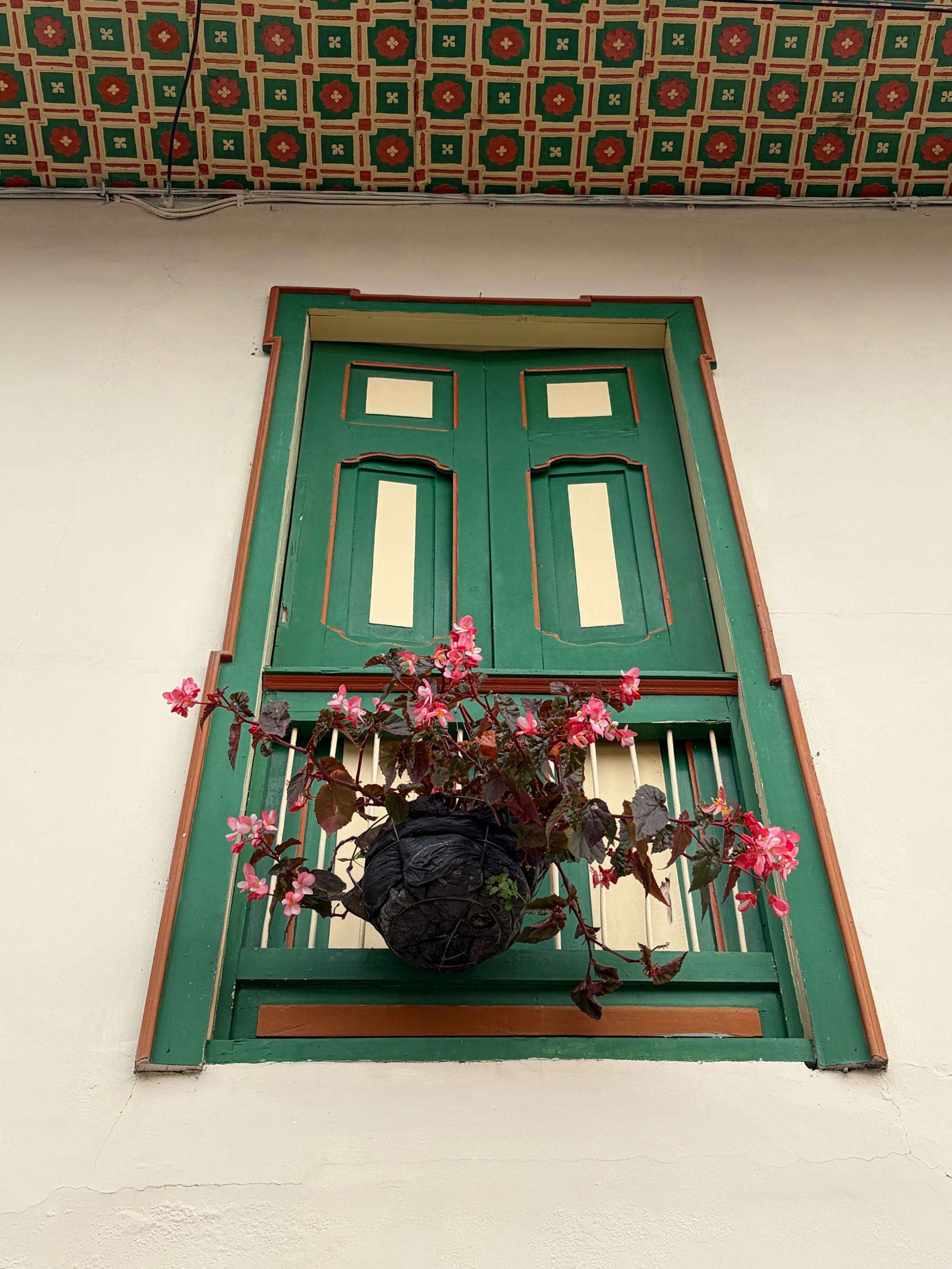 Salamina: el balcón elegante del paisaje cafetero