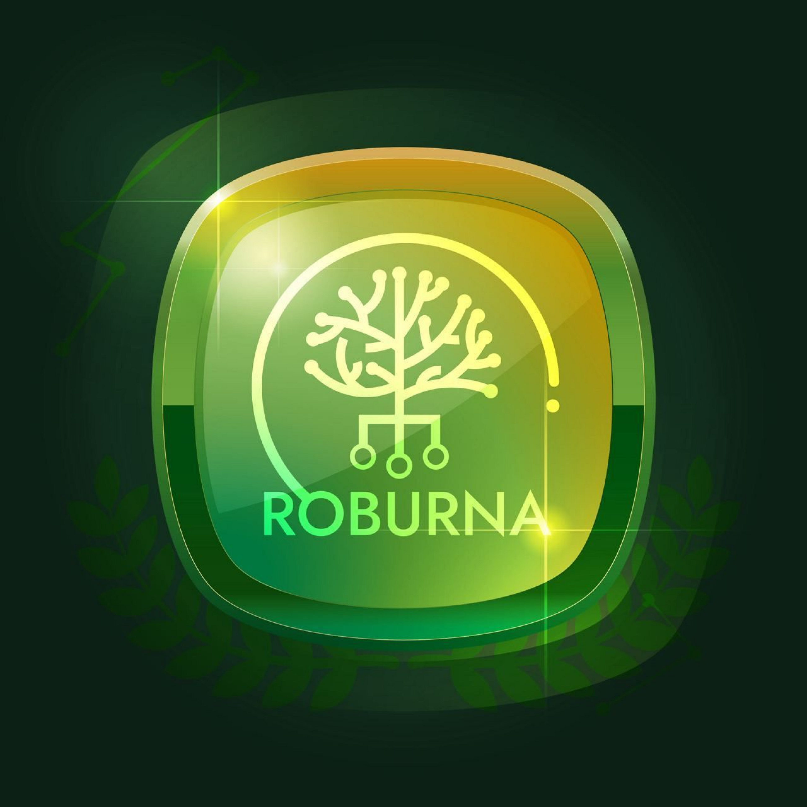 Roburna Ecosystem Roadmap (Mainnet Phase)