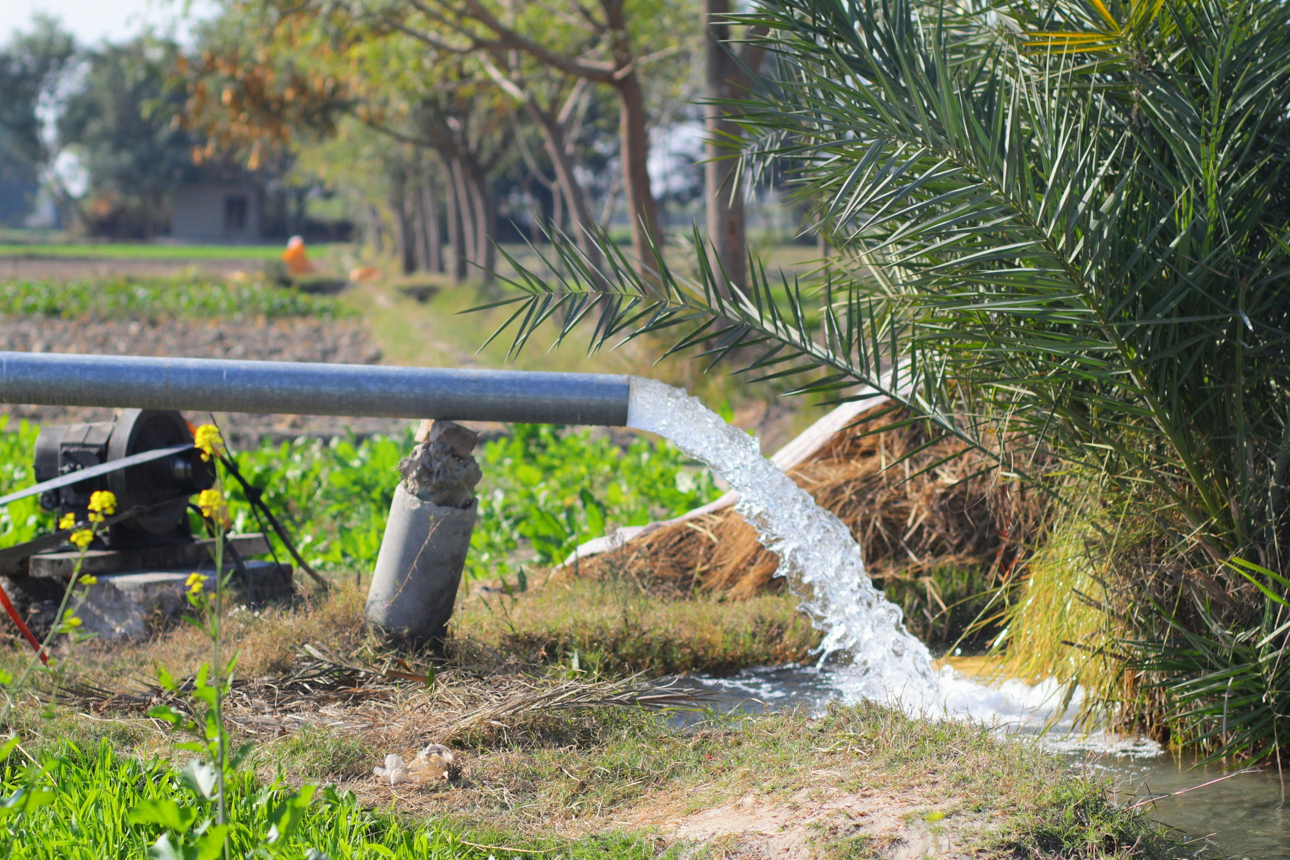 DIY Automatic Irrigation System — Save Water & Time!