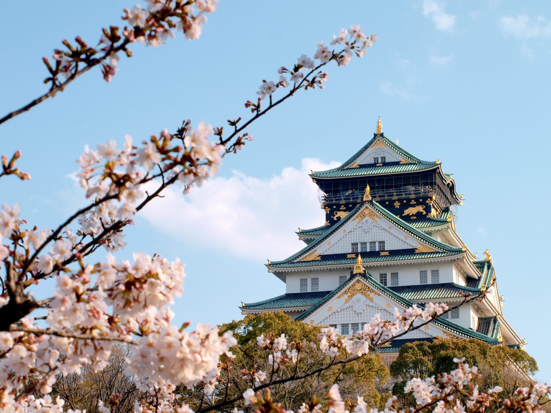 3 Best Places To See Cherry Blossoms In Osaka 2019 Japan Travel