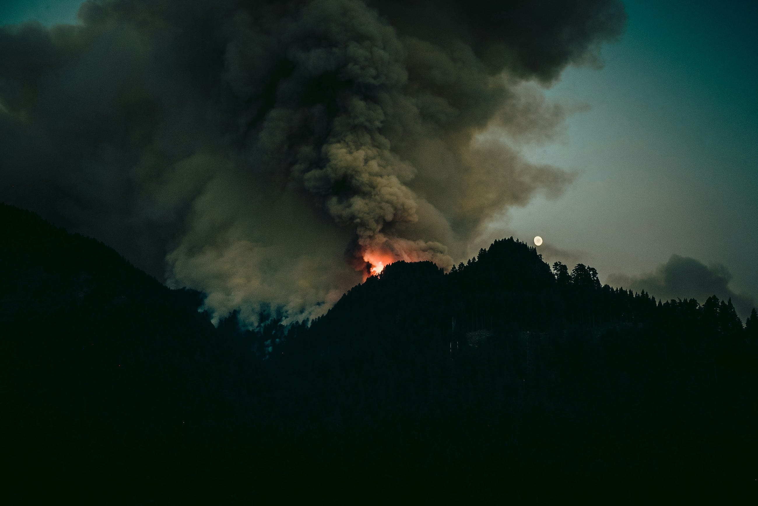 Using AI to Detect (and Prevent) Wildfires