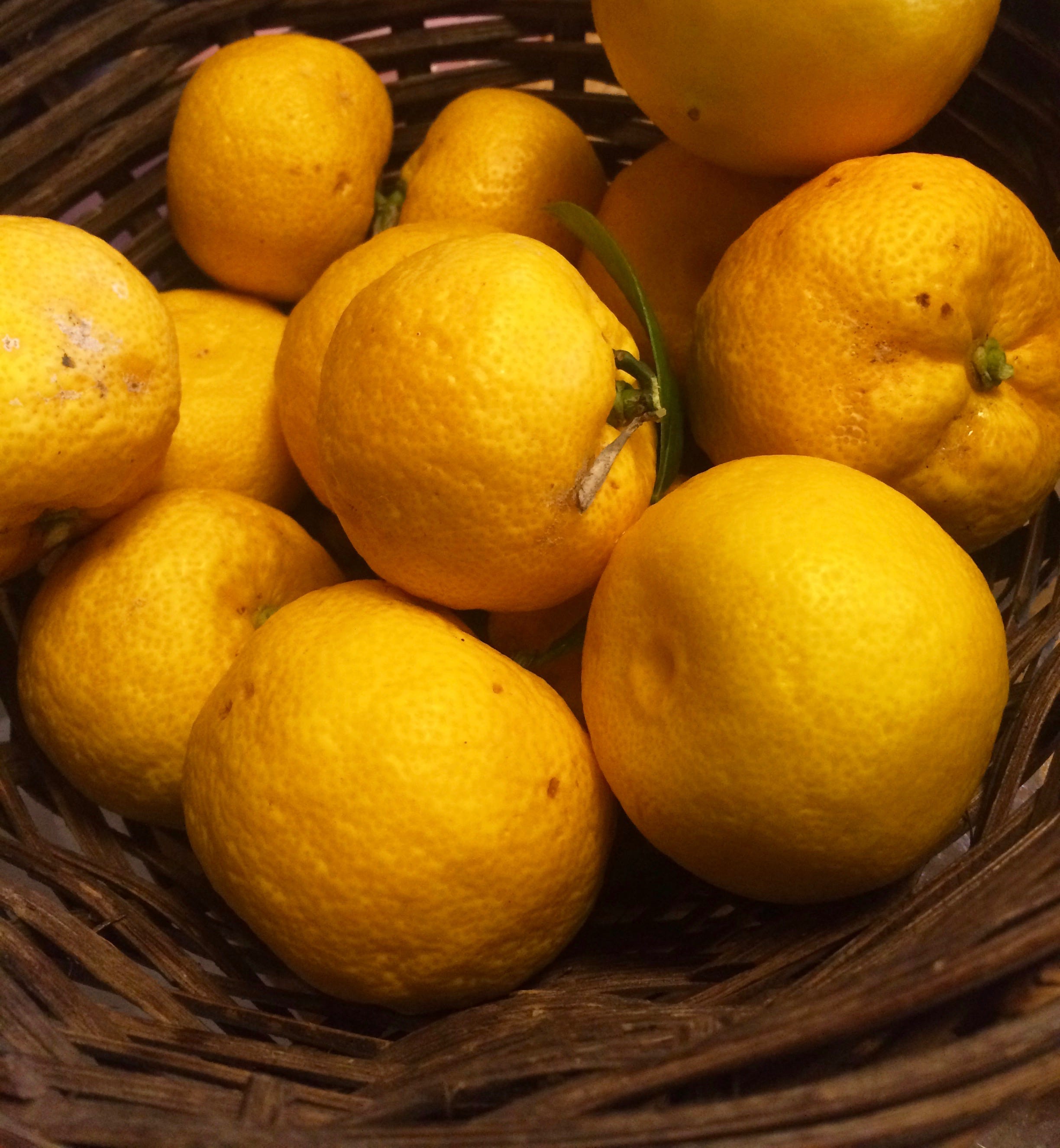The Joy Of Yuzu Japanese Recipes From Northern California